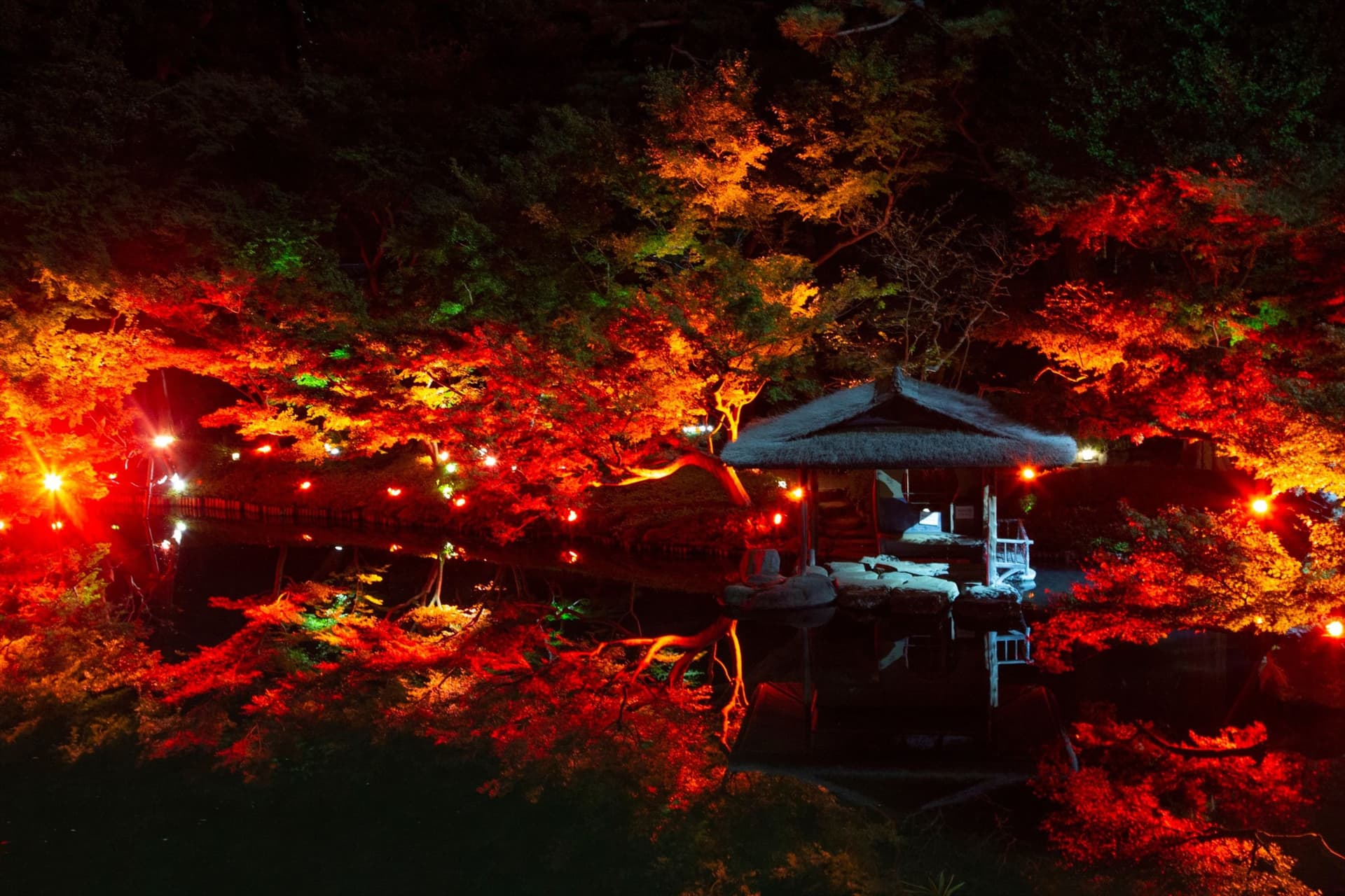 Maples lit red and orange around a dark pond, their reflections in the water, with a thatched pavilion and a row of small red lights