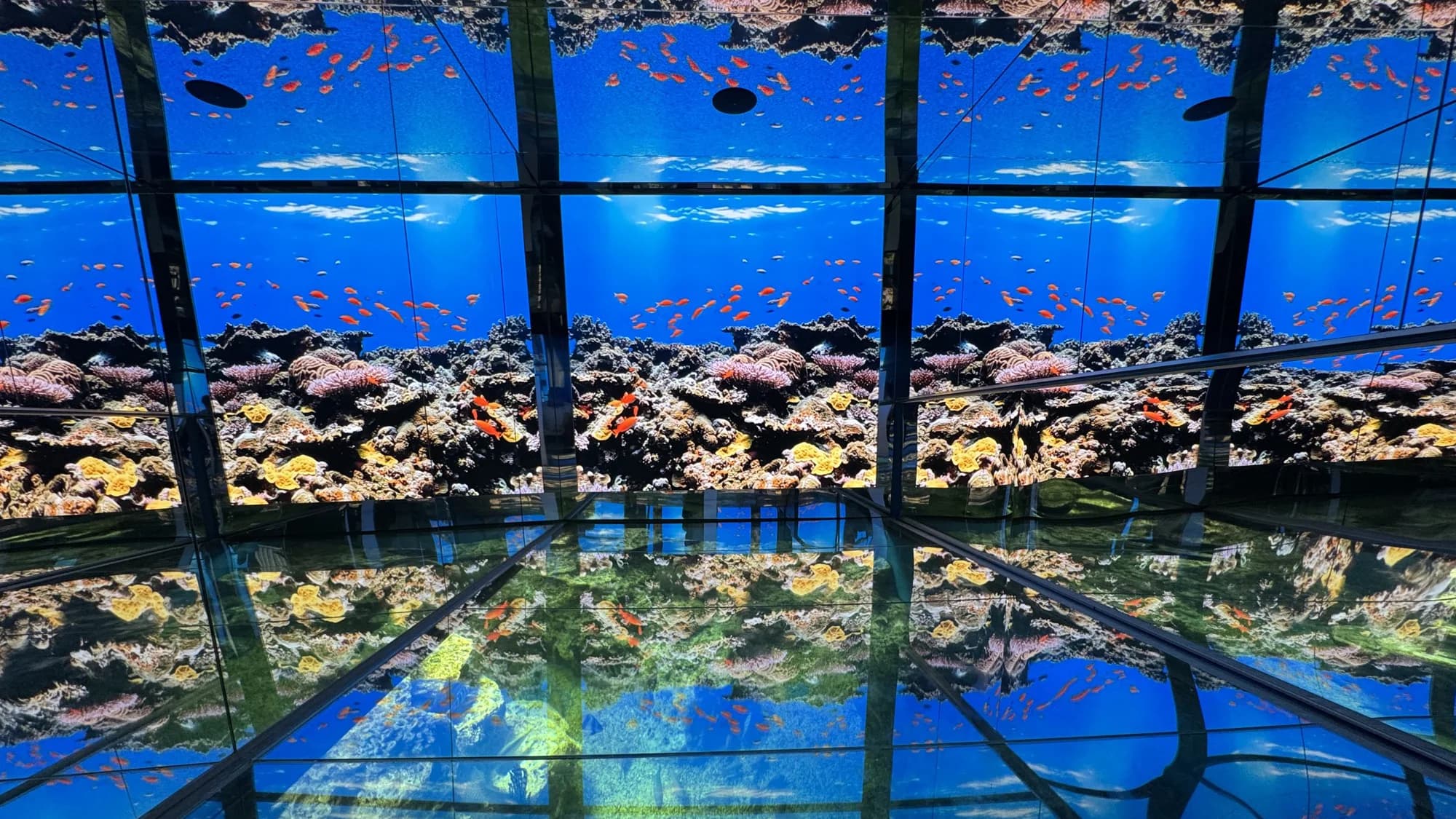 Echizen Matsushima Aquarium