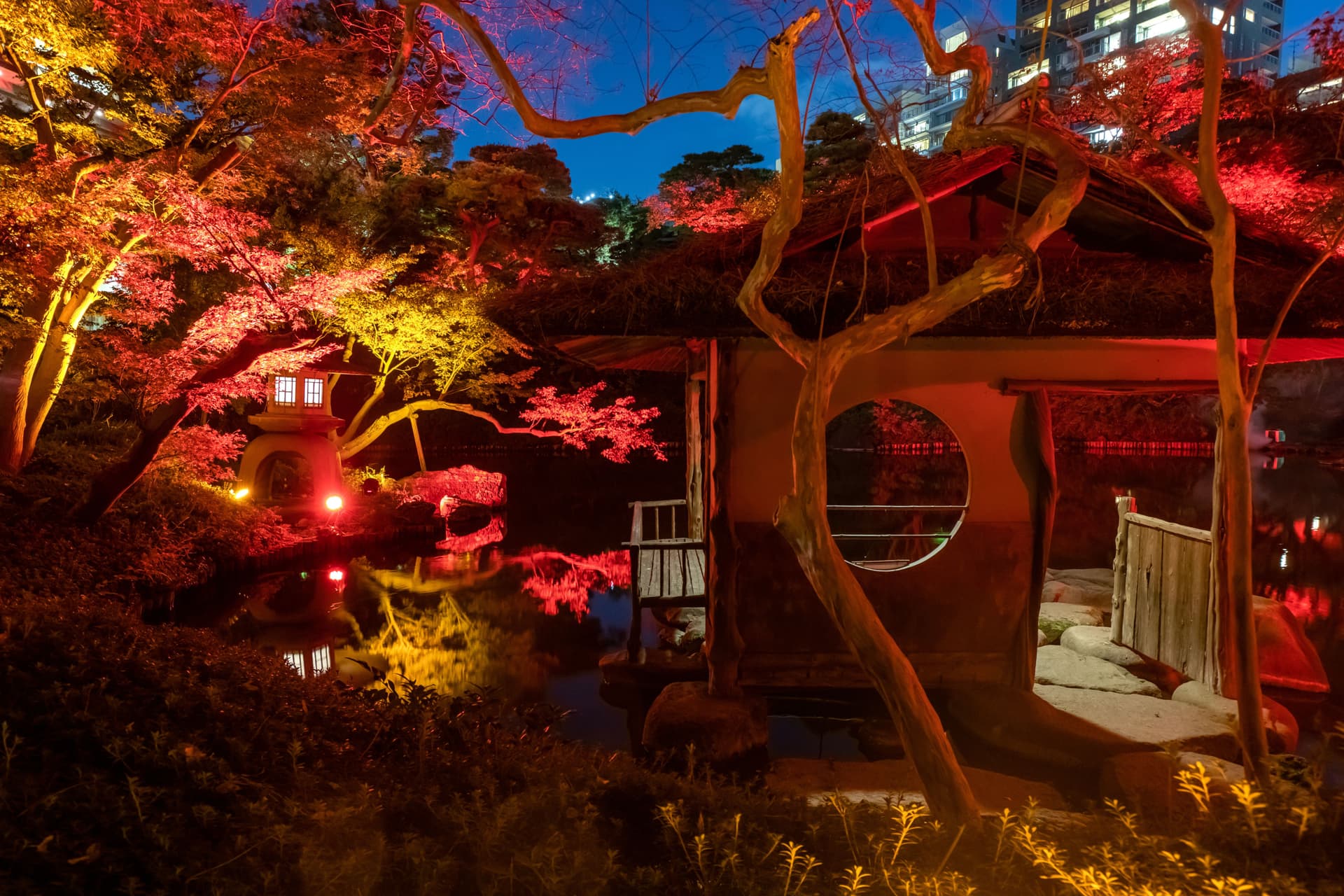 A thatched teahouse with a round window by the pond, framed by a bare tree trunk, with red-lit maples and a glowing stone lantern behind