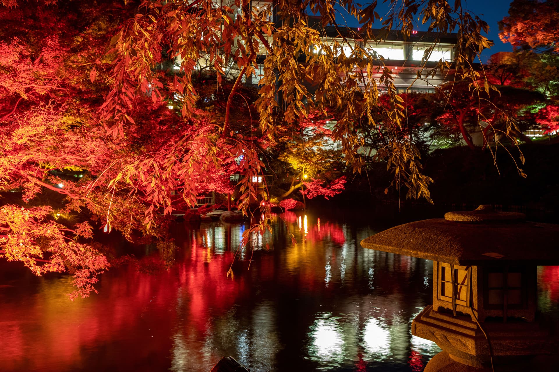 Red and orange maple branches hanging over a pond that reflects the lights, with a stone lantern in the foreground and a lit building behind