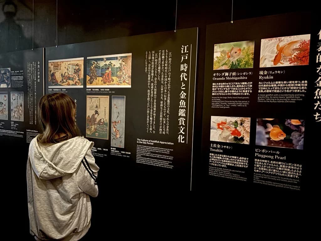 The Edo panels