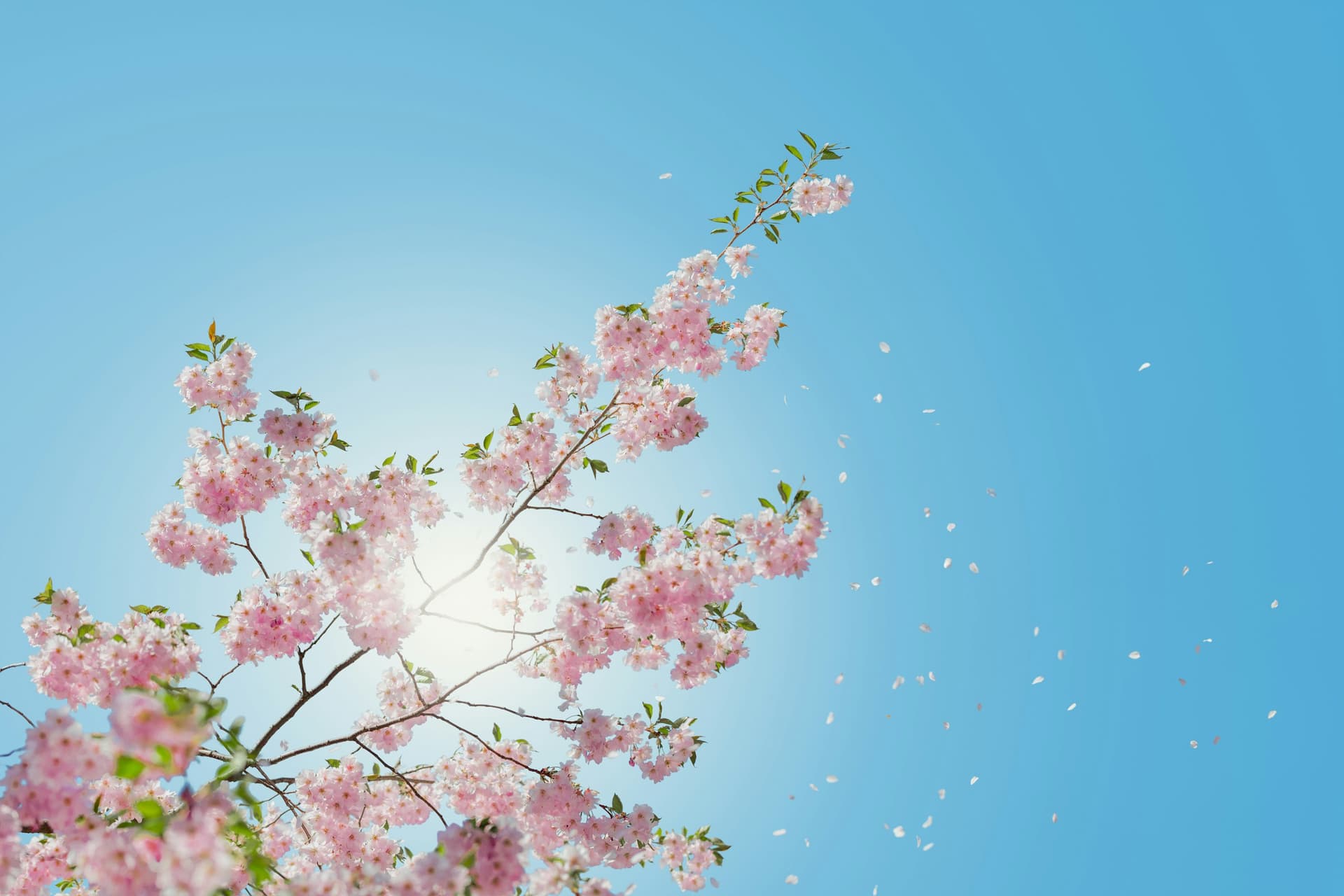 Spring Equinox