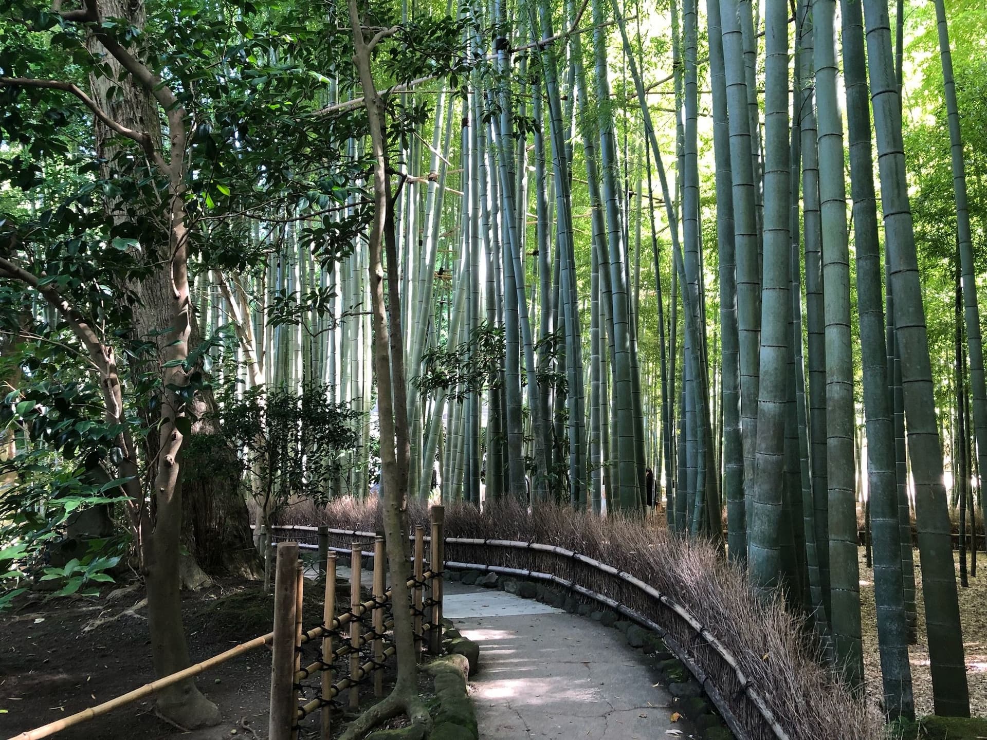 Hōkokuji Temple