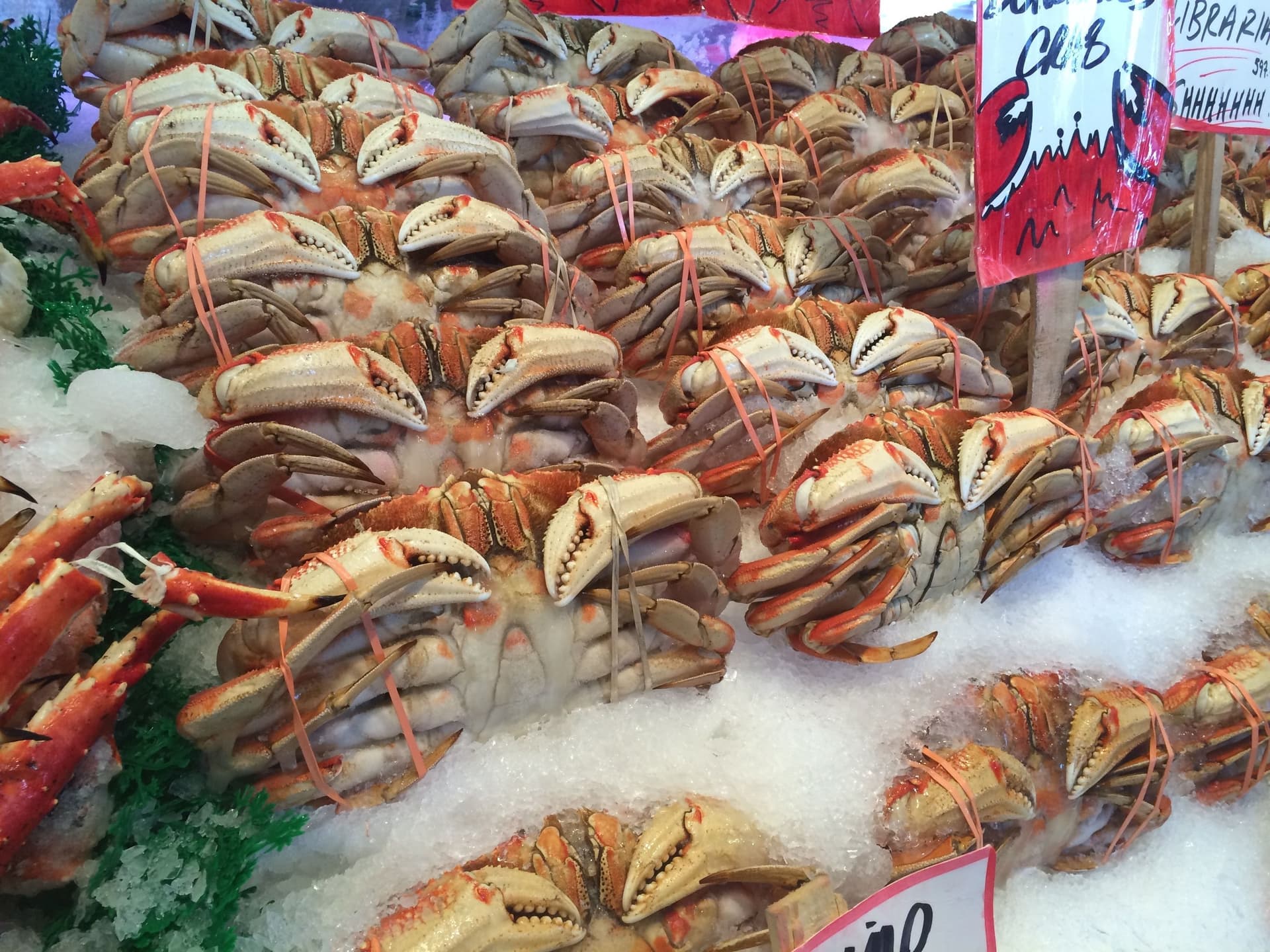 Mikuni Onsen Crab Festival