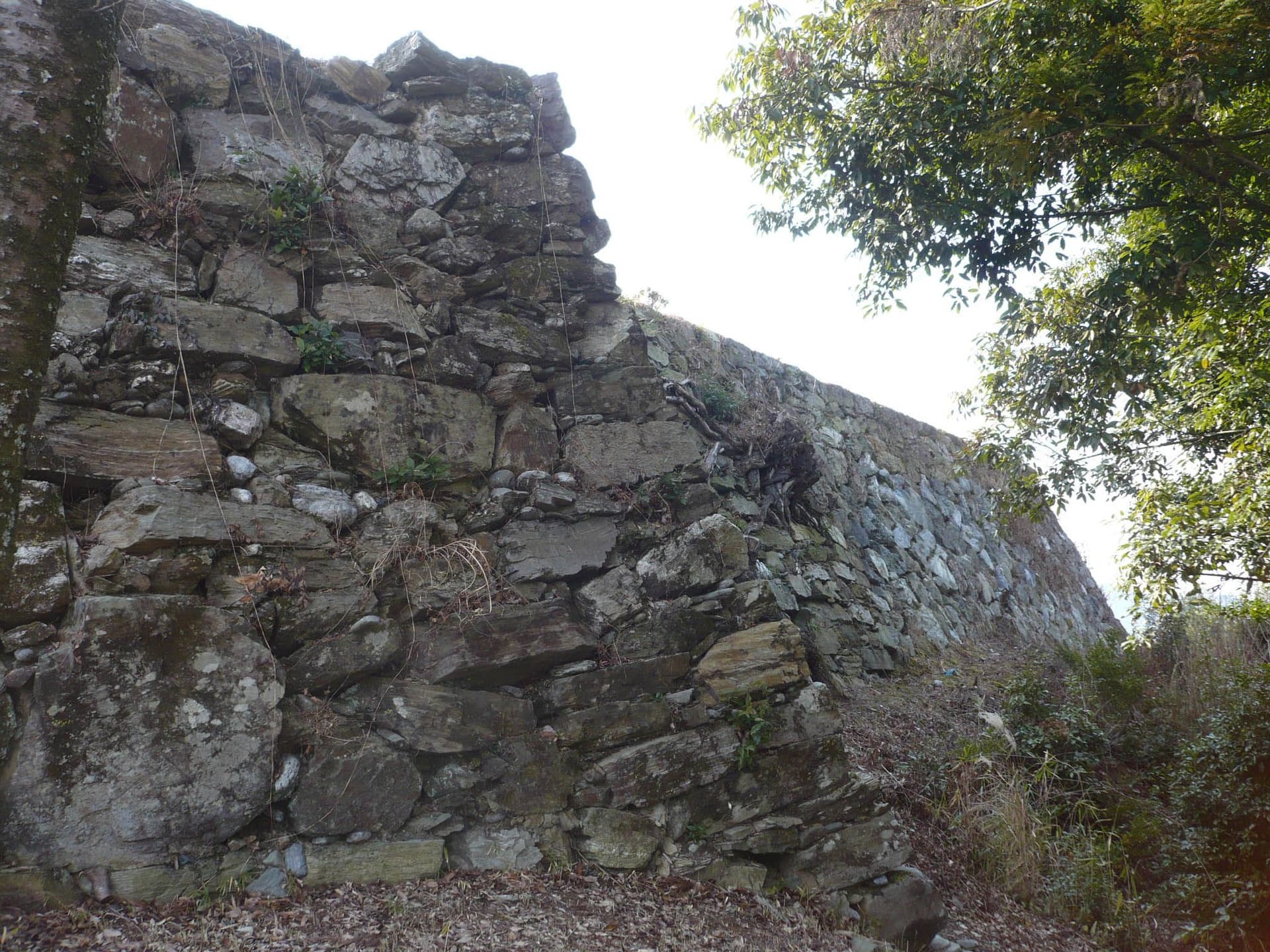 Ichinomiya Castle Ruins