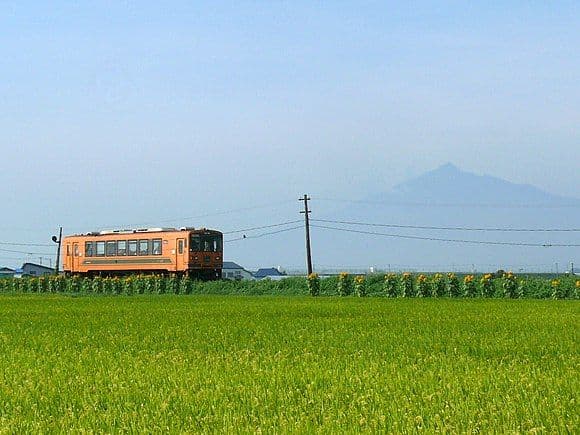 Suzumushi Autumn Train
