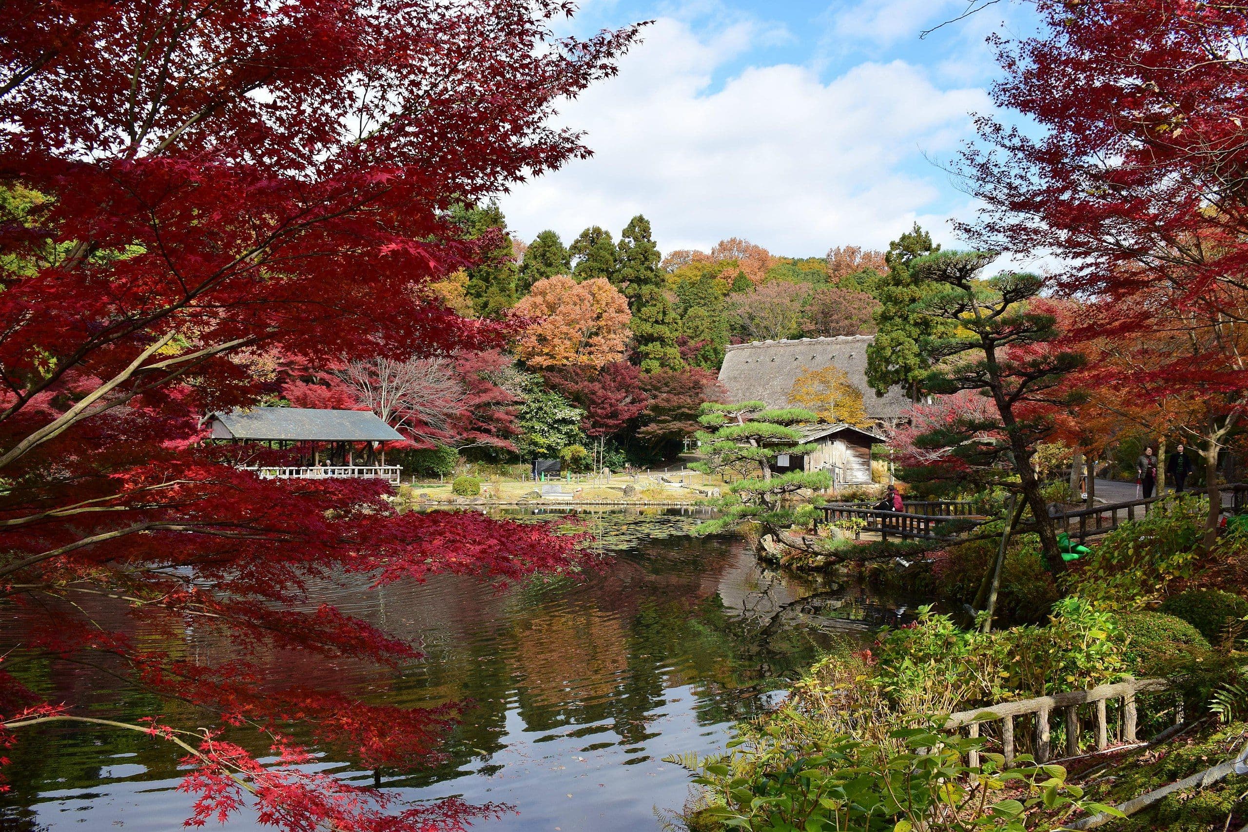 Botanical Gardens in Nagoya