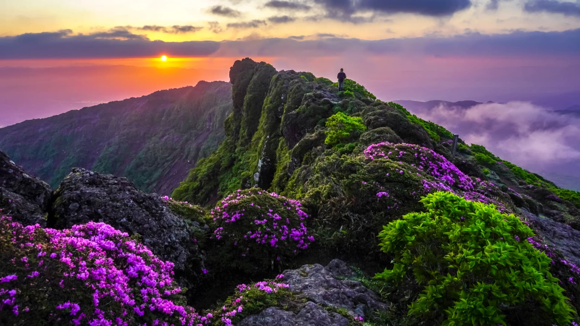 Miyamakirishima & Mt. Kirishima