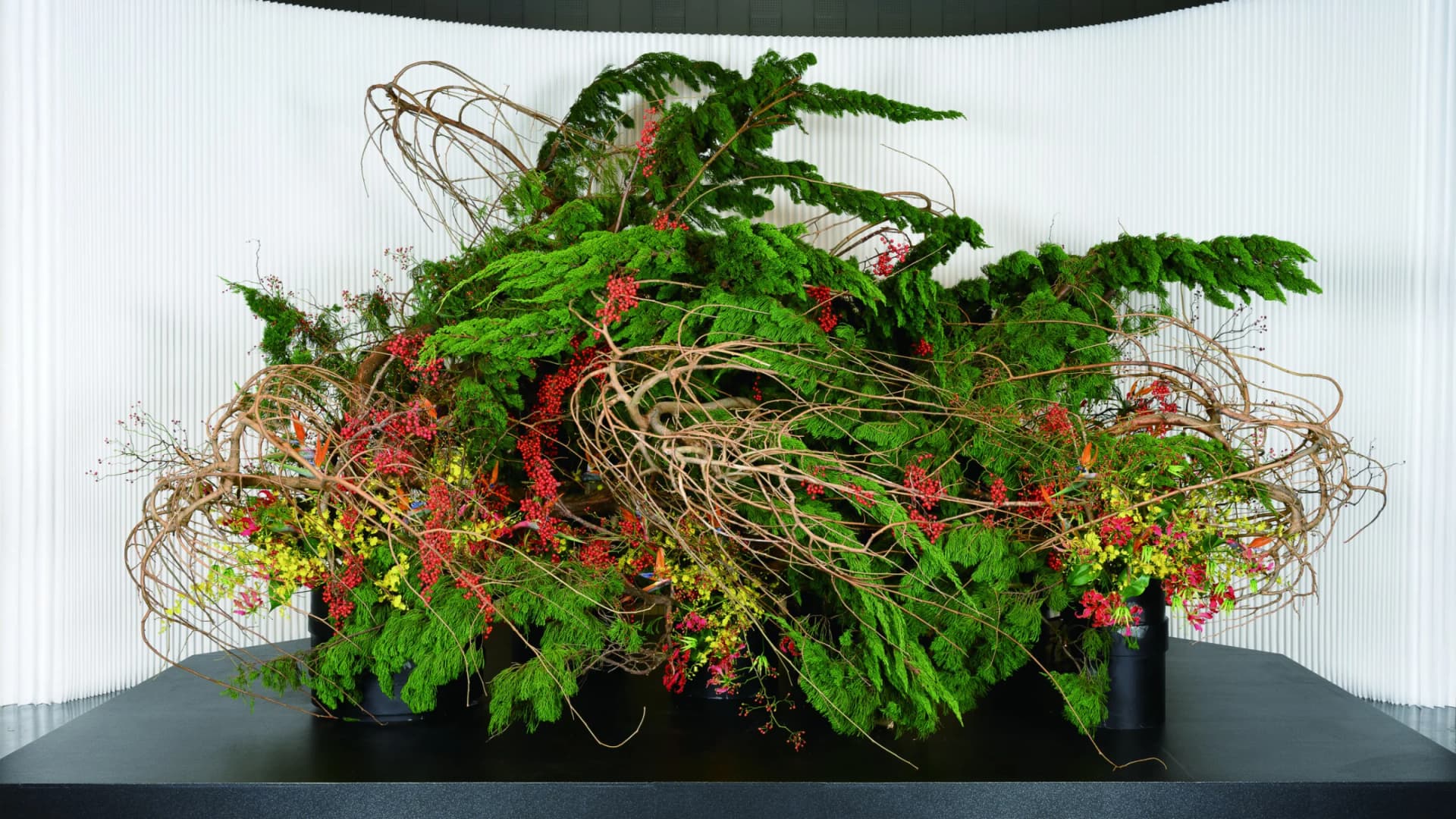 Ikebana Ryusei Exhibition: The Faces of Plants 2025