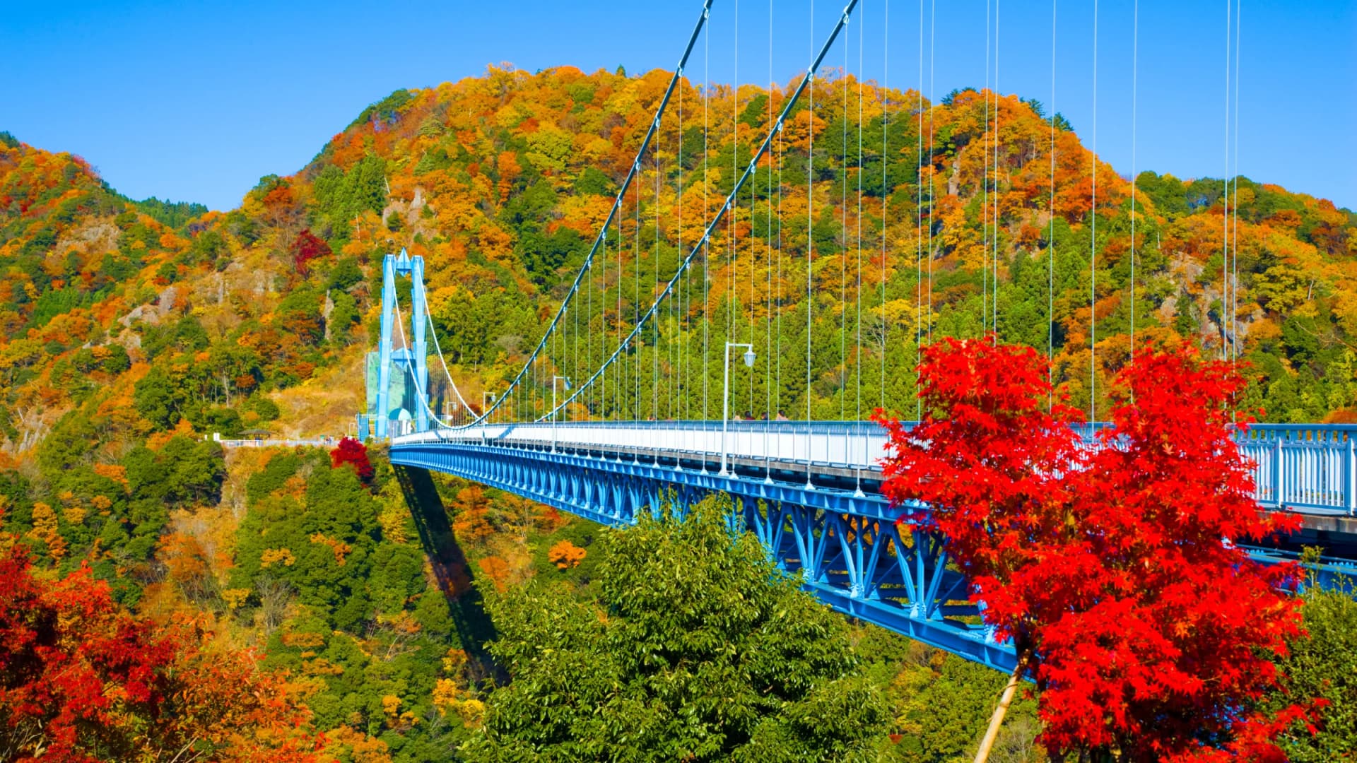 Ryujin Suspension Bridge
