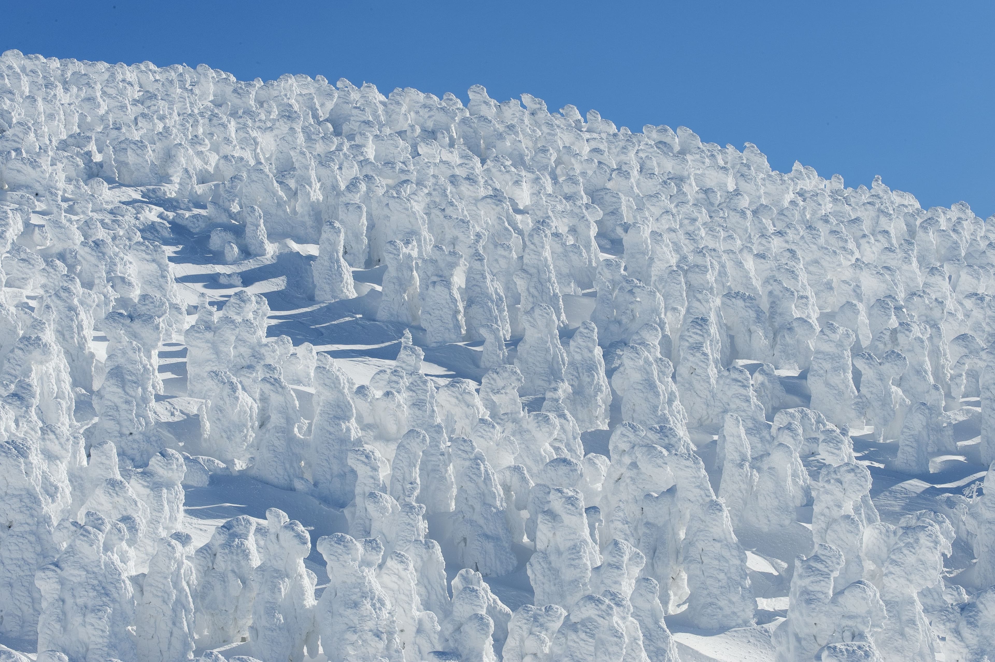 Snow monsters at Mt. Zao