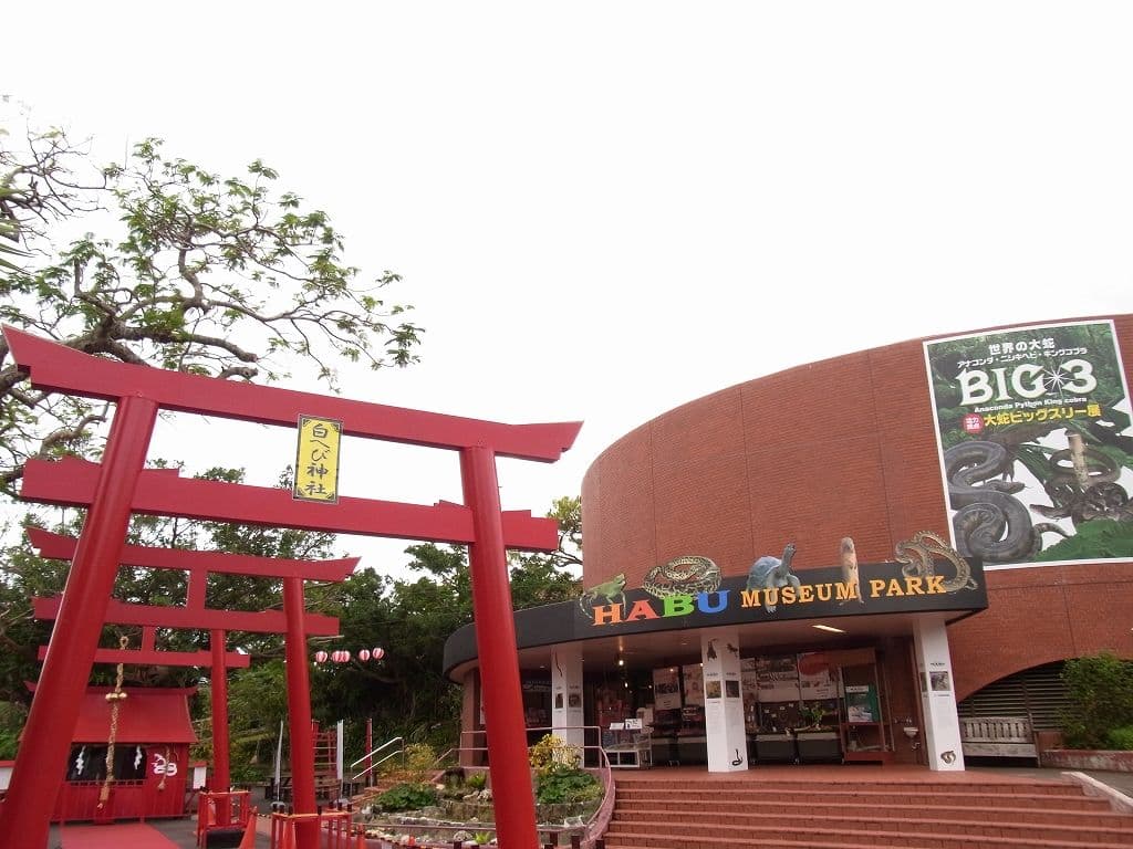 Okinawa World