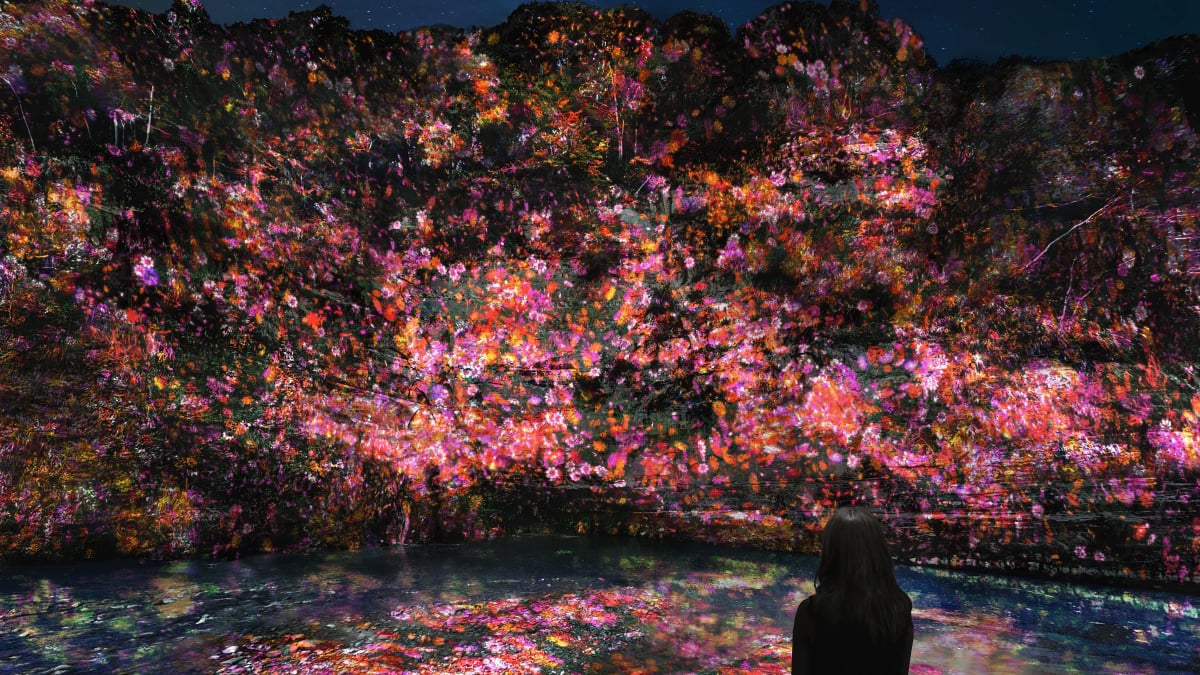 teamLab: Yoro Keikoku, an outdoor night art exhibition held at Yoro Keikoku