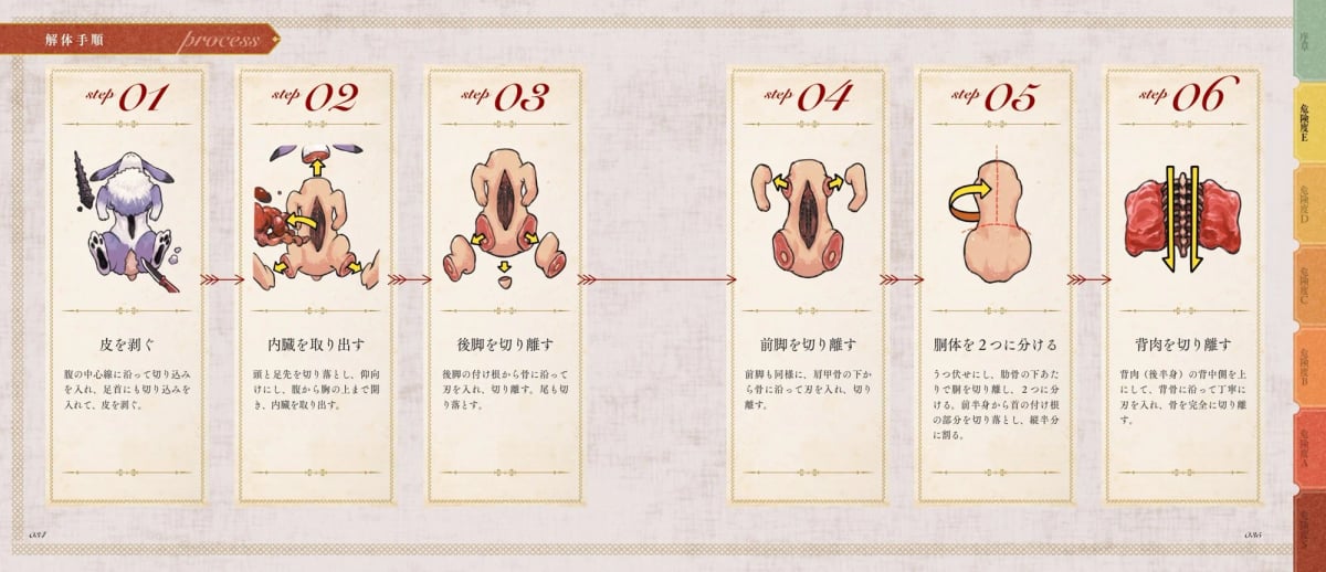 Horn Rabbit Dissection Process