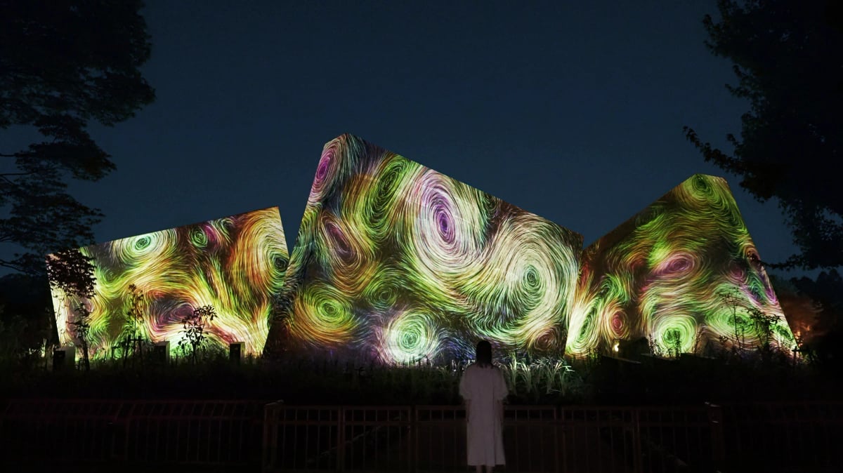Interactive Digital Installation by teamLab: Sculptures of Dissipative Birds in the Wind