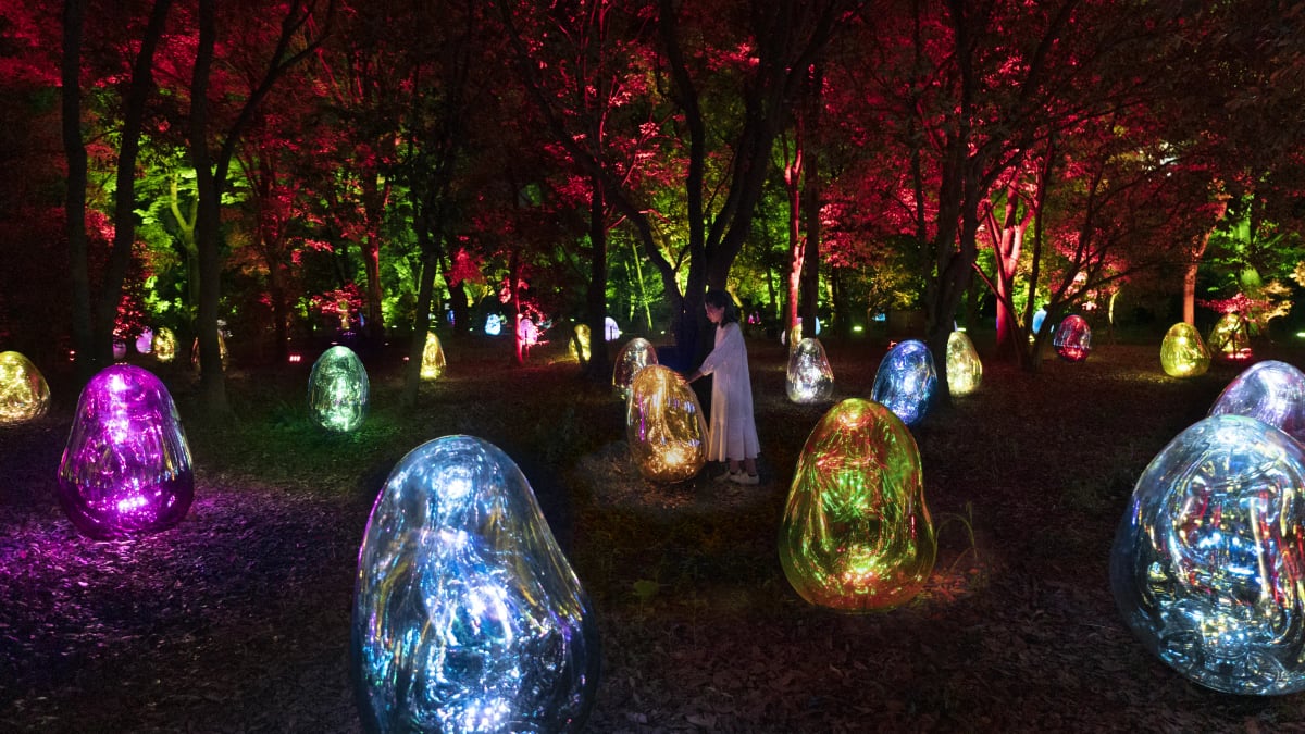 Interactive Digital Installation by teamLab: Resonating Microcosms in the Common Camellia Garden – Solidified Light Colour