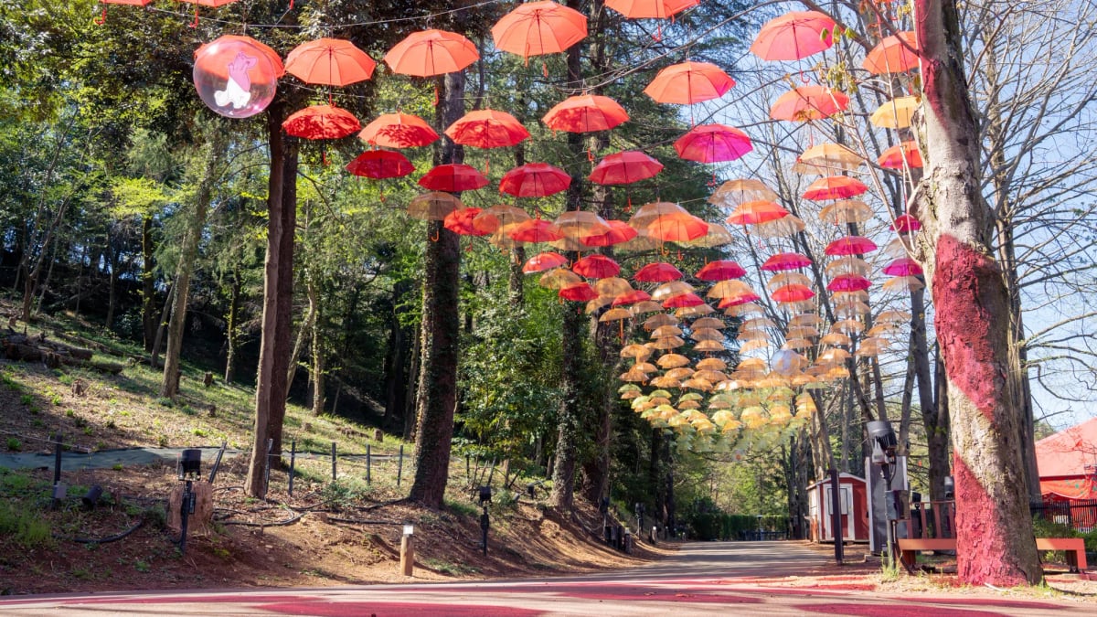 Moomin Valley and Umbrella
