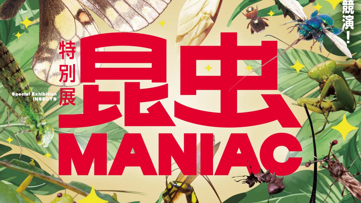 Key visual for the special exhibition 'Insect Maniac'