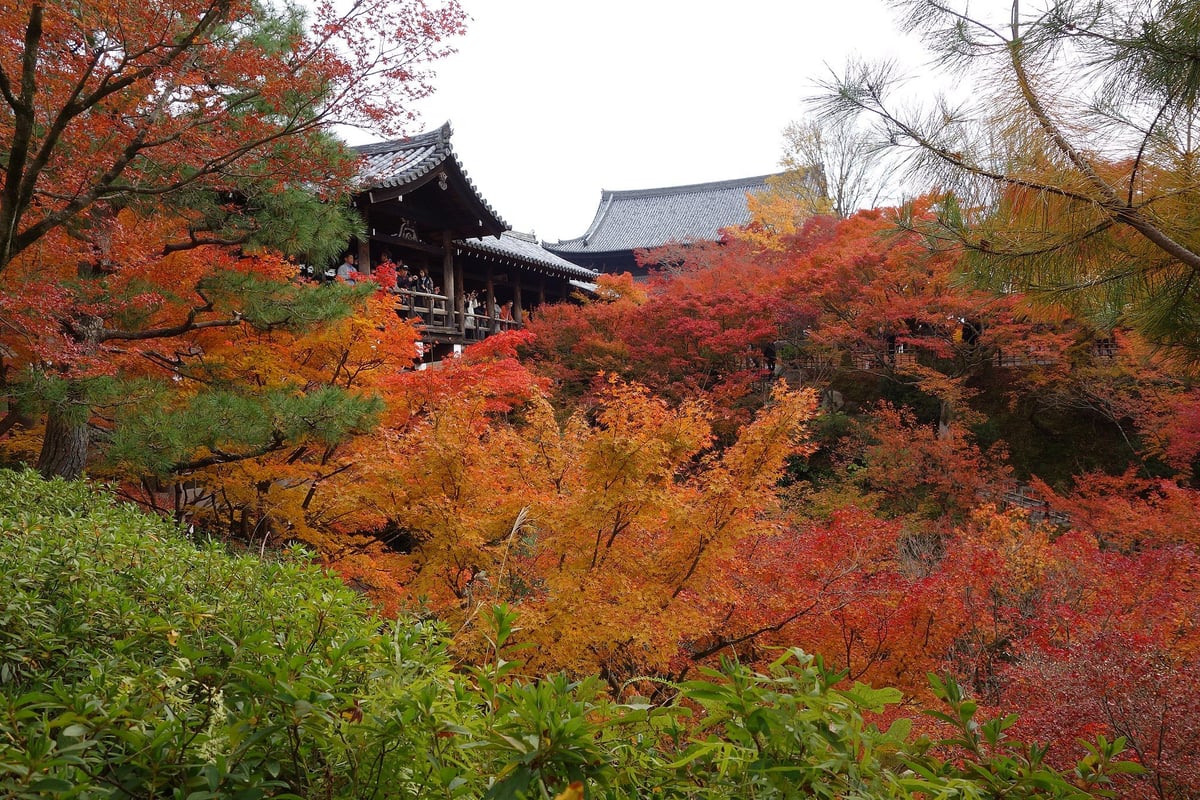 Tofuku-ji Temple