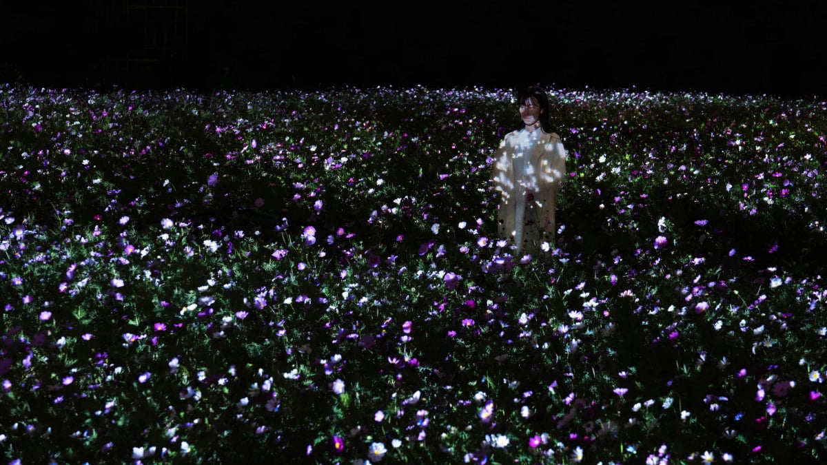 teamLab Botanical Garden Osaka
