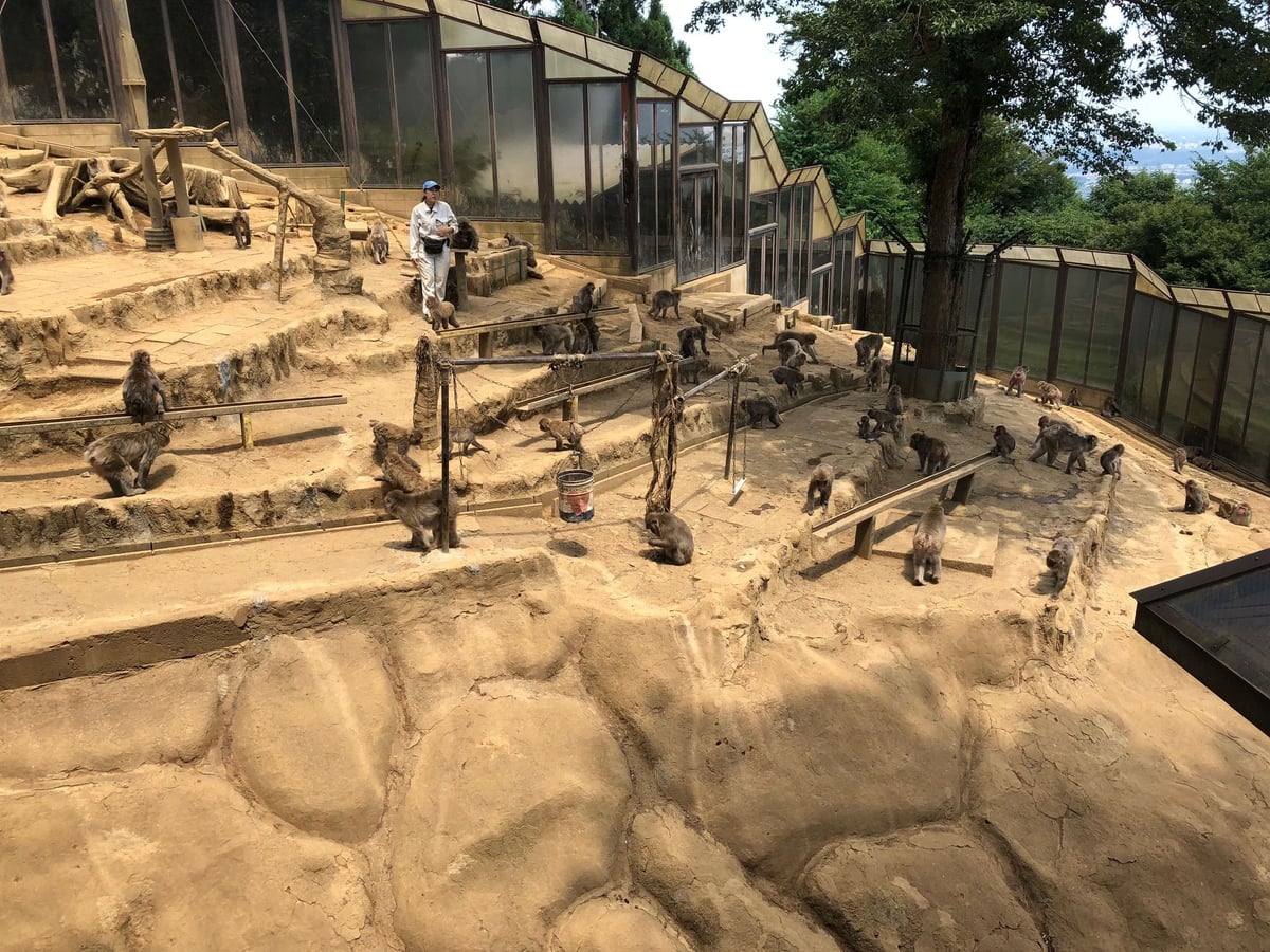 Takao Monkey Park