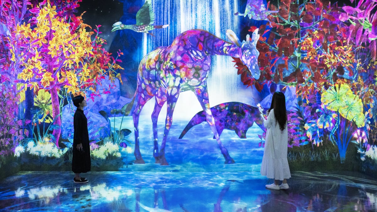 teamLab Forest Fukuoka