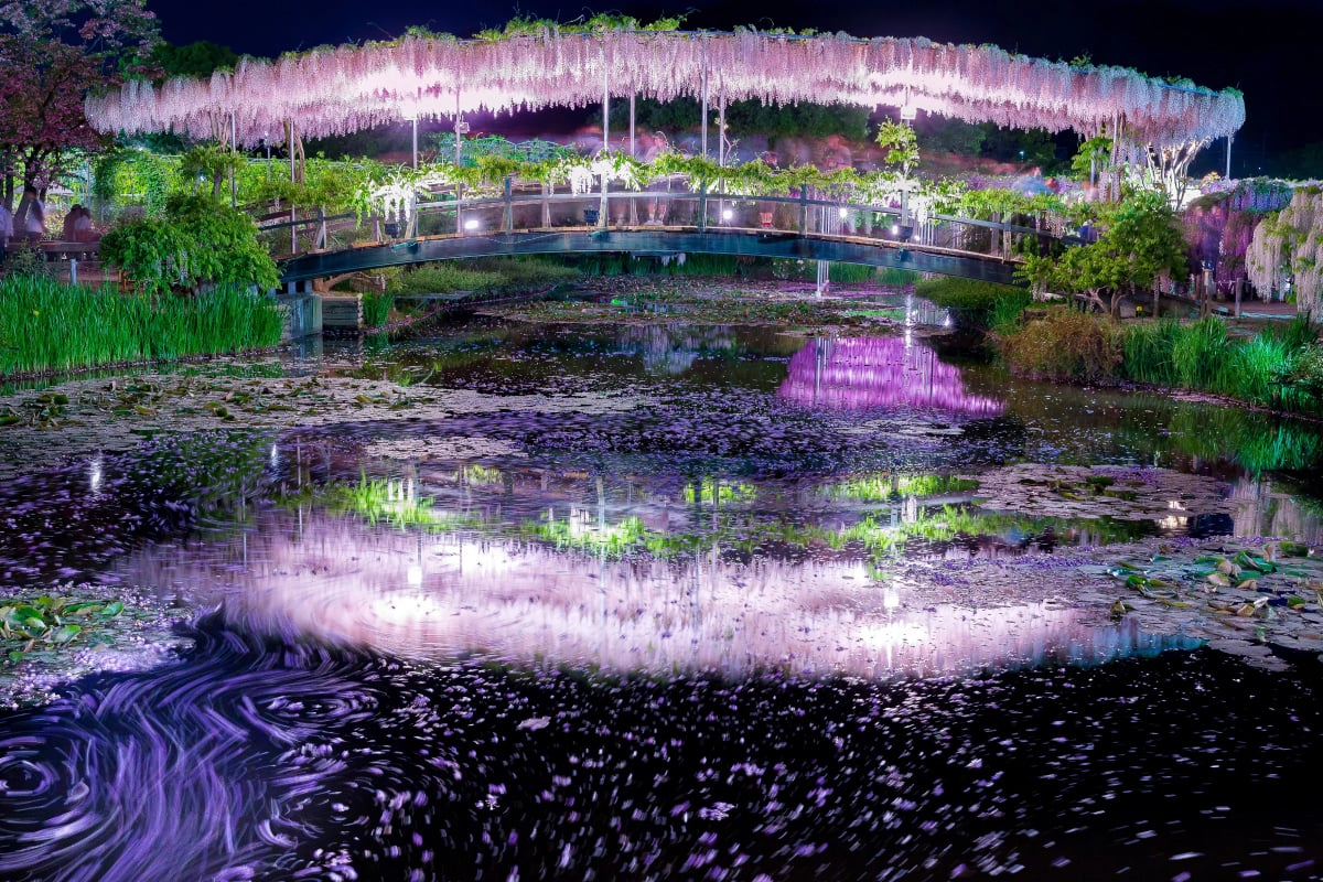 Night Illumination at Ashikaga Flower Park
