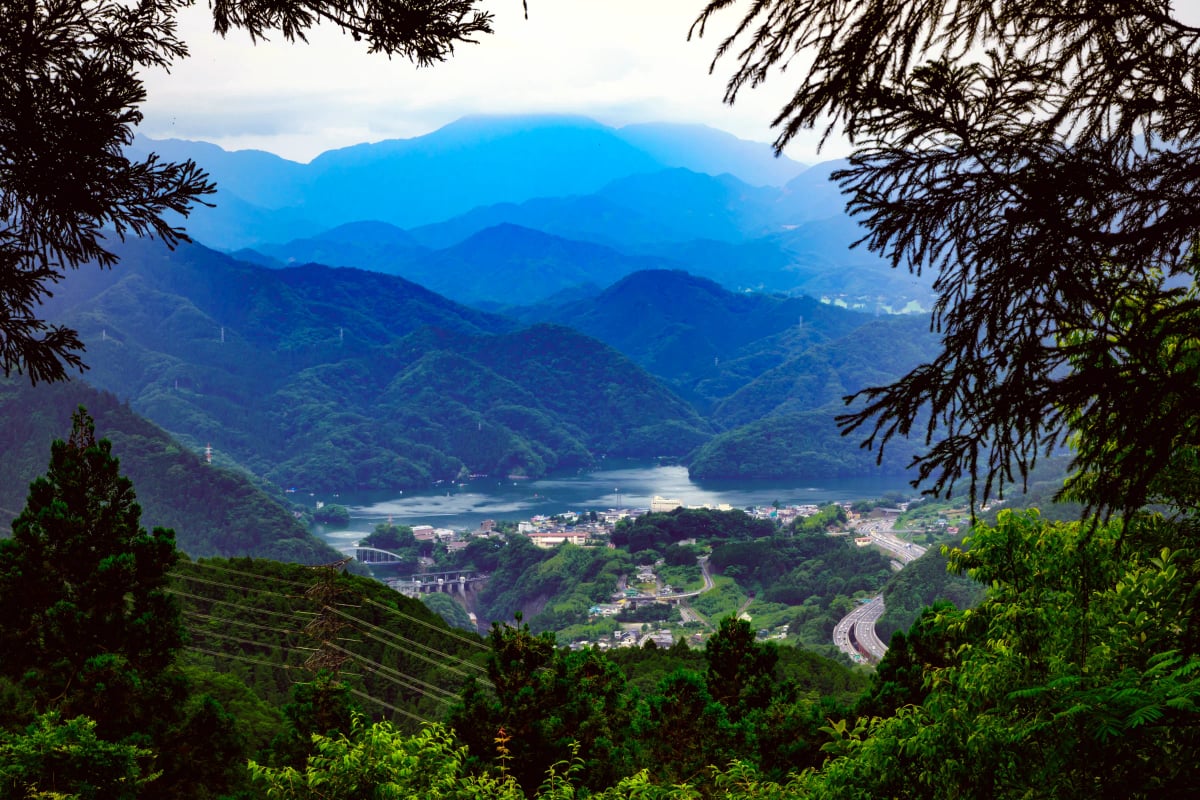 View from Mount Takao