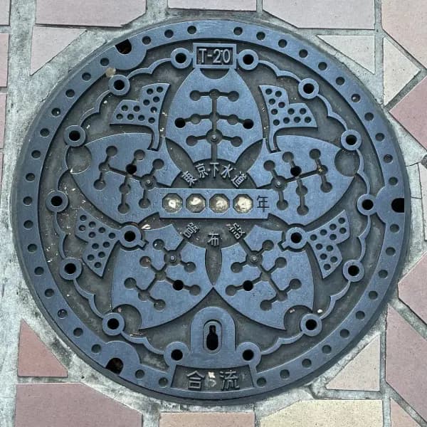 Manhole Design in Shinjuku