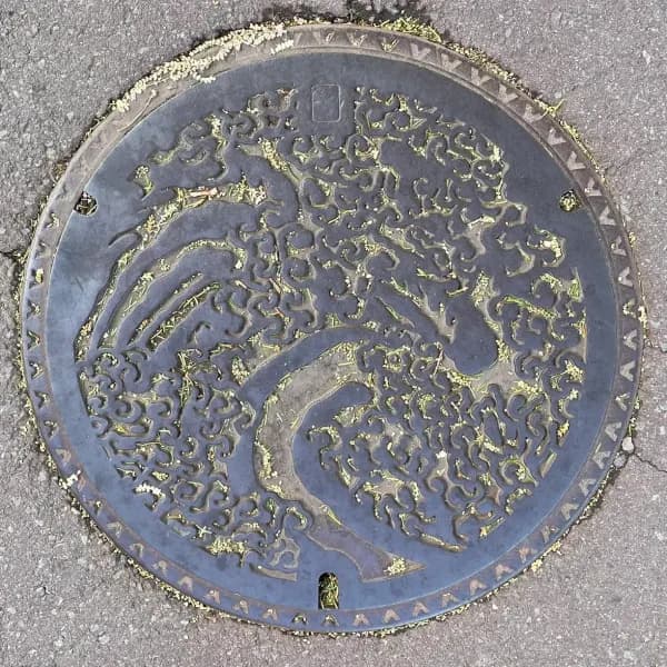 Manhole Design in Nagano