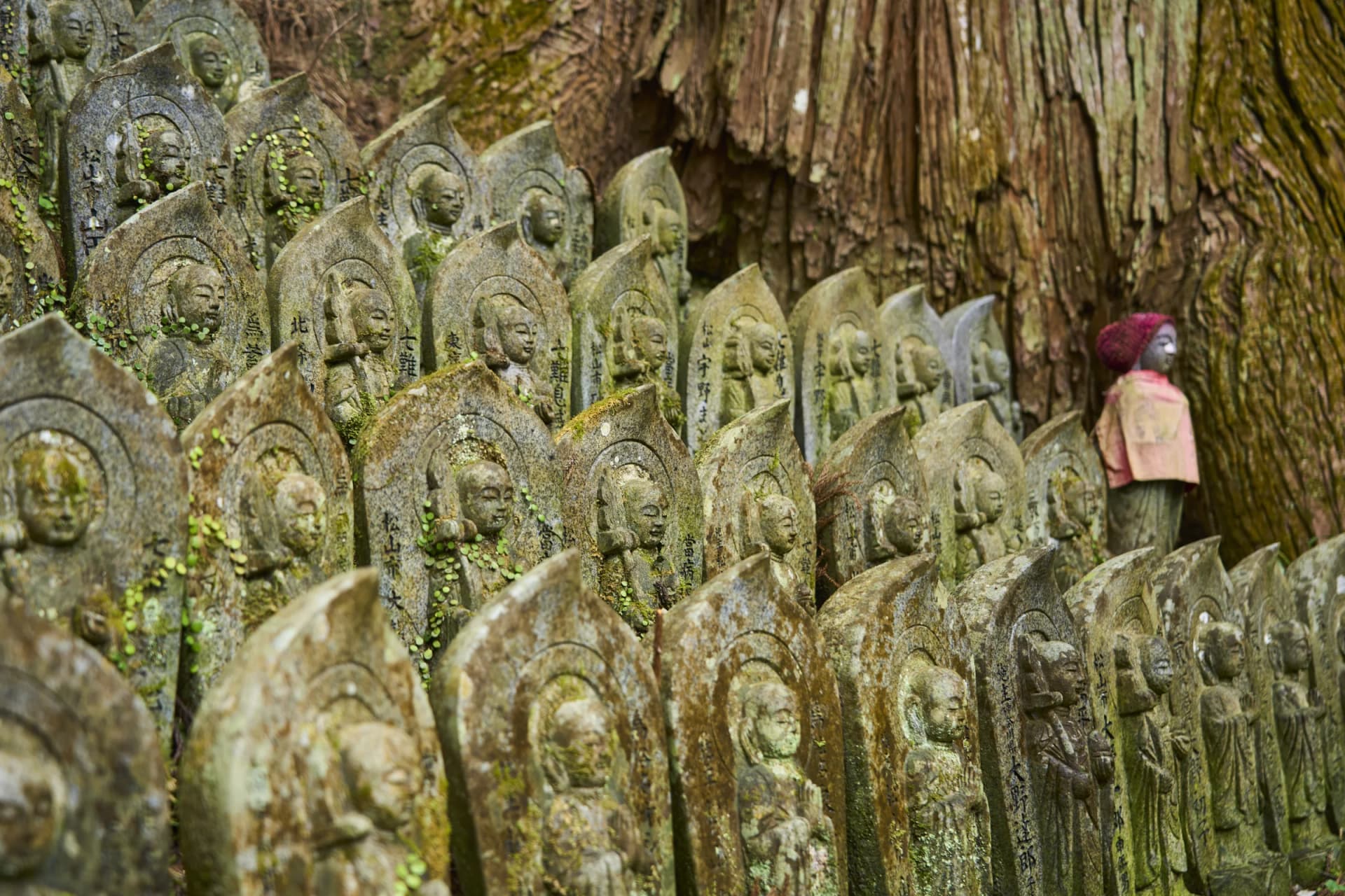 Rows of moss-covered Jizo statues line the base of the cliff at Iwayaji Temple