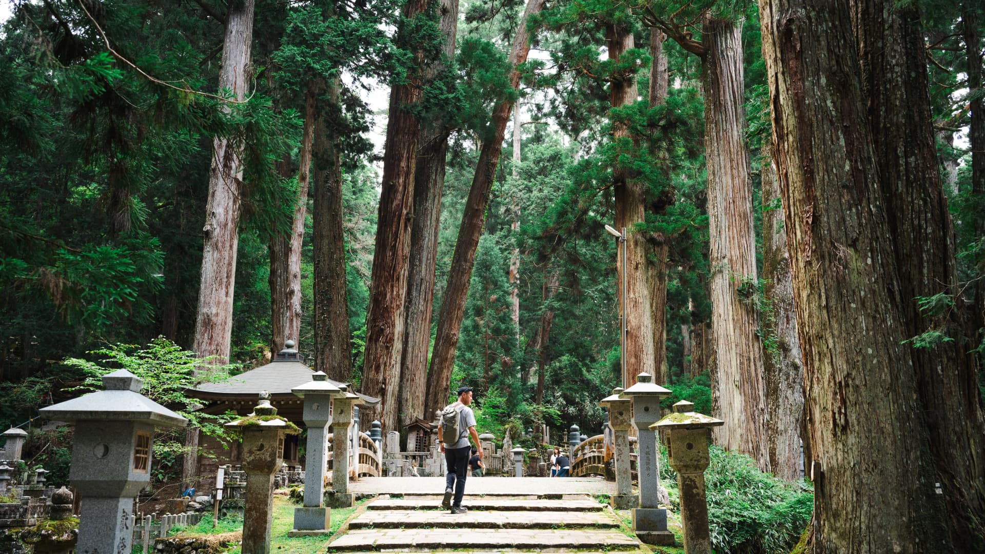 Towering cedars and stone lanterns line the pilgrim path through Okunoin cemetery, Koyasan, Wakayama