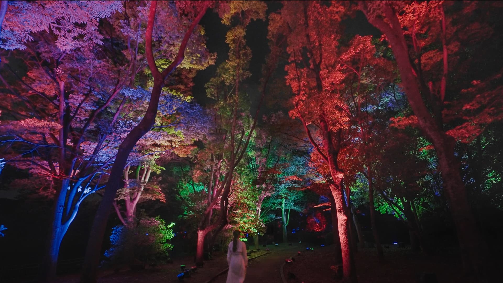 Interactive Digital Installation by teamLab: Resonating Trees – Camphor Tree and Zelkova