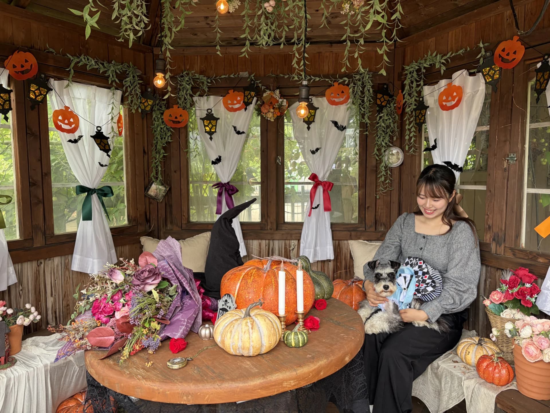 A dog at a Halloween photo spot, Keisei Rose Garden