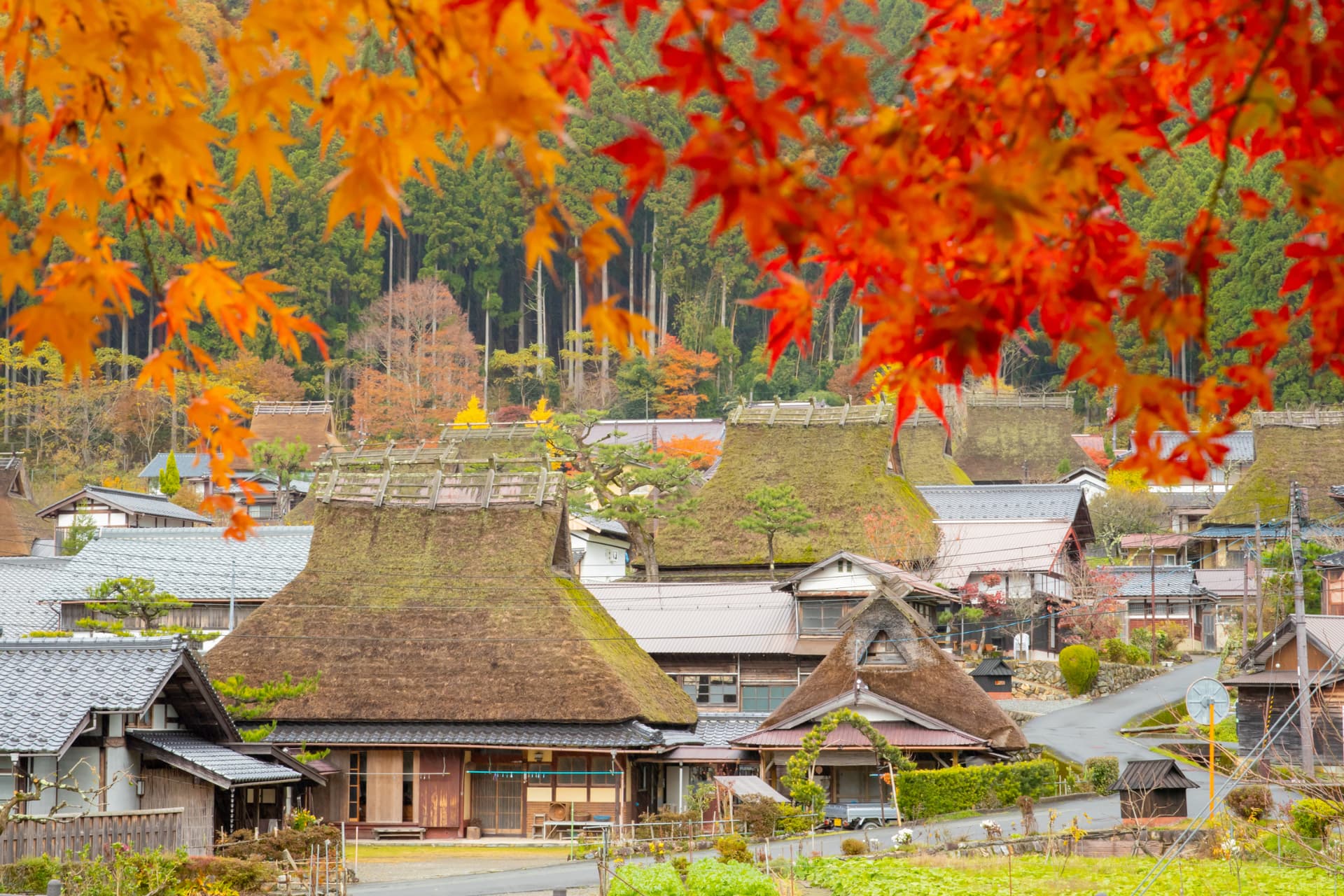 Autumn in Kayabuki no Sato