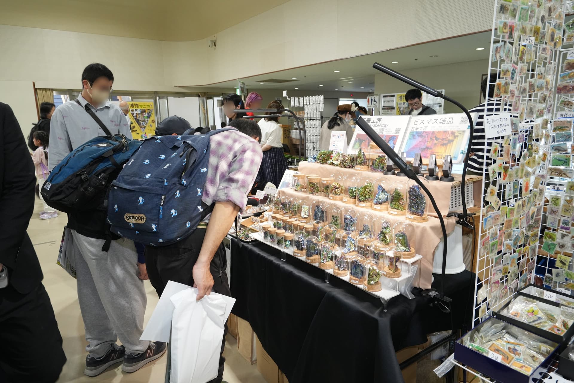 A booth with rows of small glass jars and nature cards at a previous Hakubutsu Mania