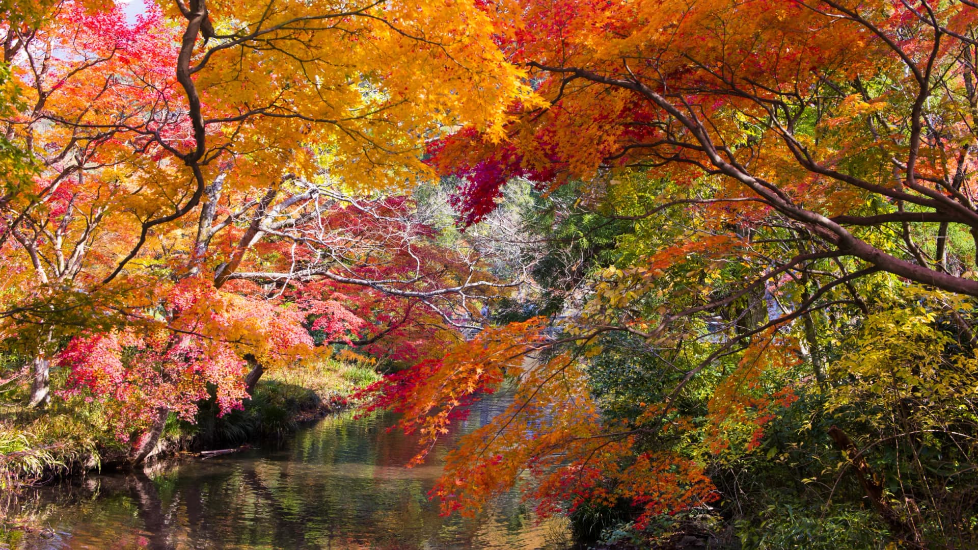 Autumn foliage frames the still waters of Kinrin Lake, Yufuin, Oita