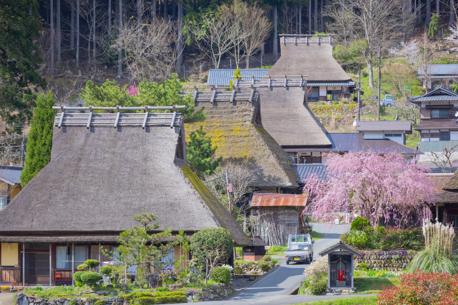 Spring in Kayabuki no Sato