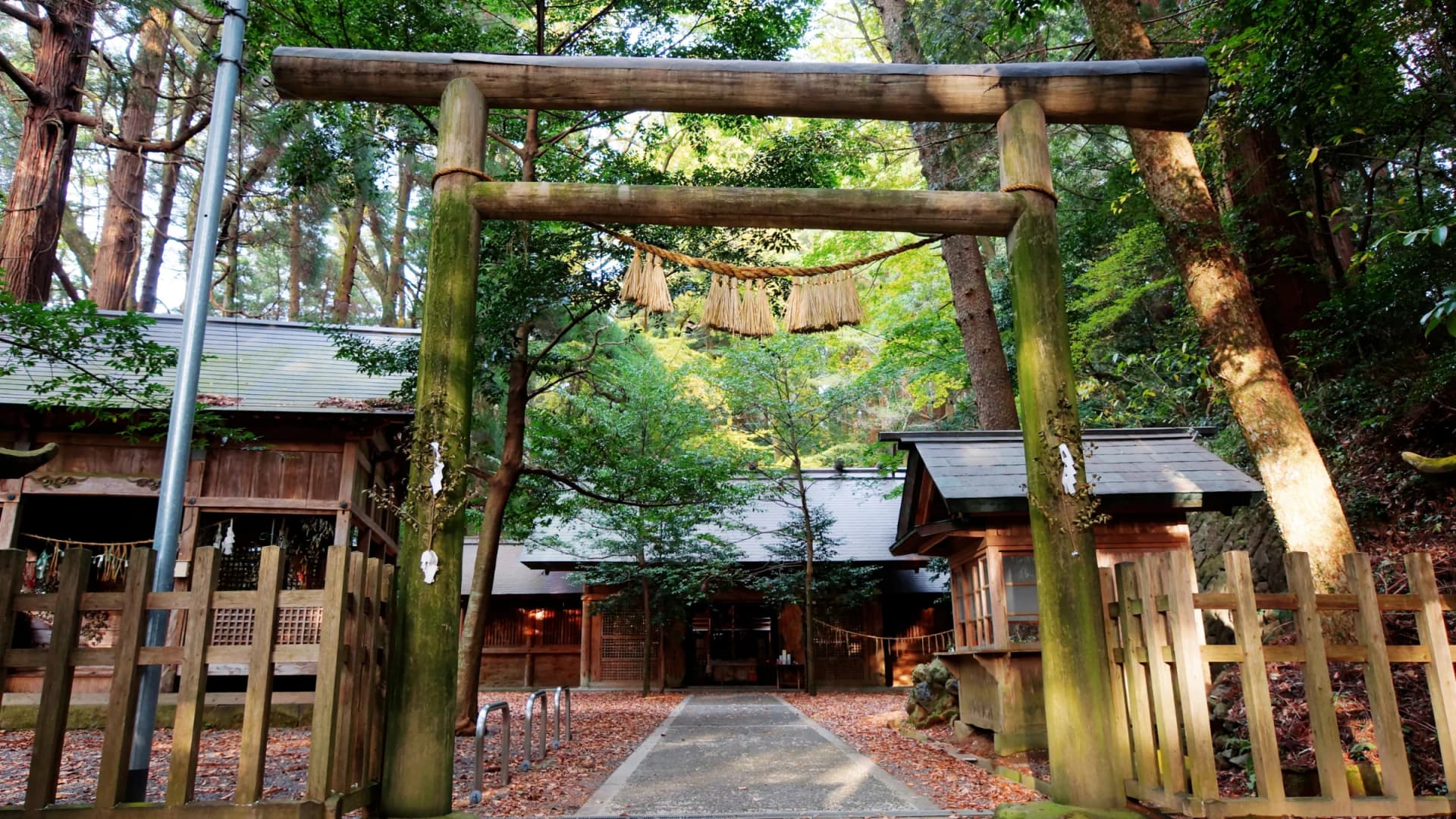 A rustic wooden torii and shimenawa mark the forest approach to the main hall of Amano-Iwato Shrine, Takachiho