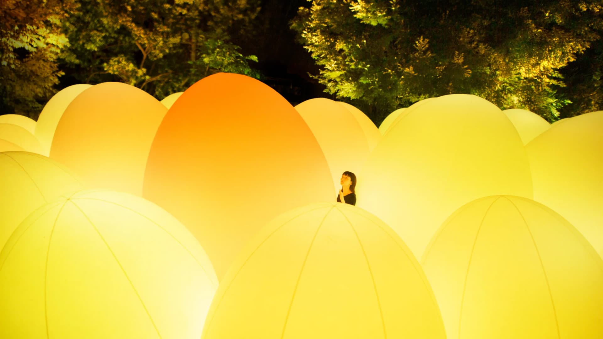 Autonomous Resonating Life, teamLab (previous exhibition)