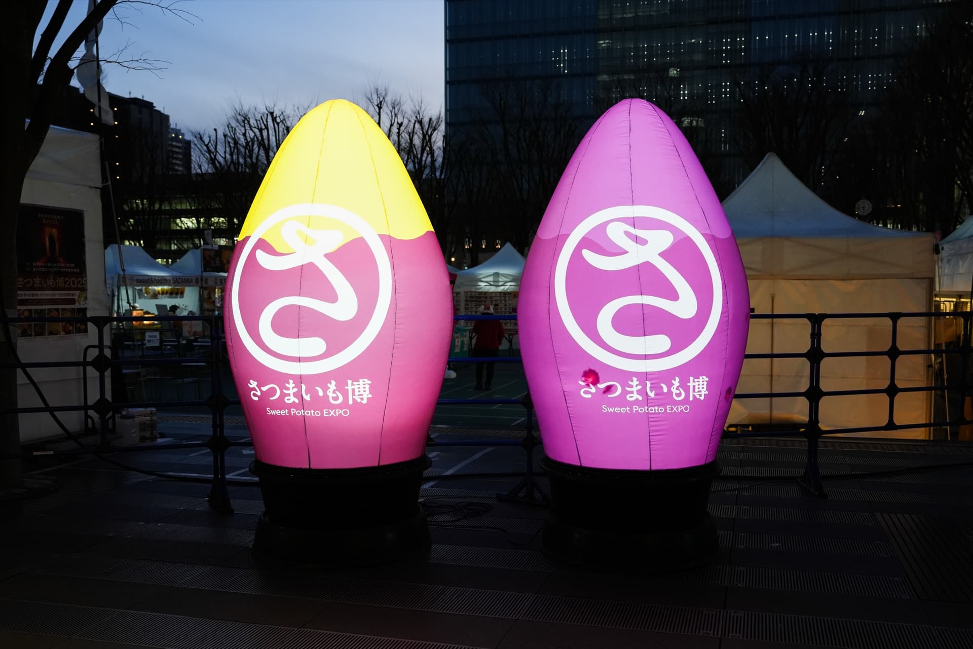 Two tall balloons shaped like sweet potatoes, lit pink and purple and printed with the Sweet Potato Expo logo, in front of white tents at dusk