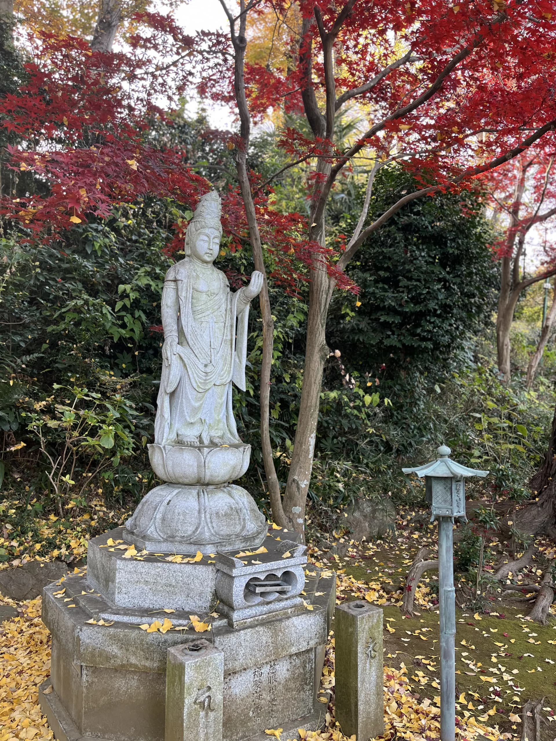 Myorakuji Temple – Kannon Statue in Autumn, Kawasaki, Kanagawa