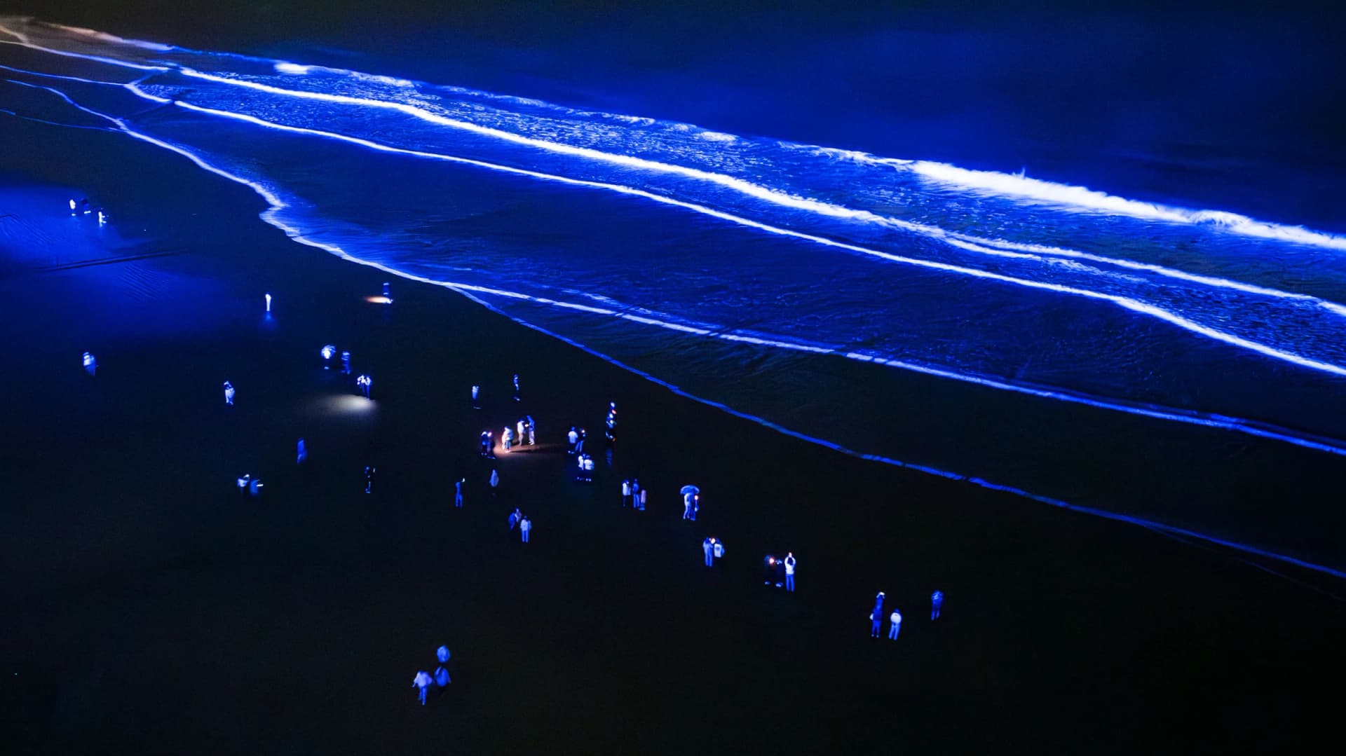 NIGHT WAVE, Night Park OARAI