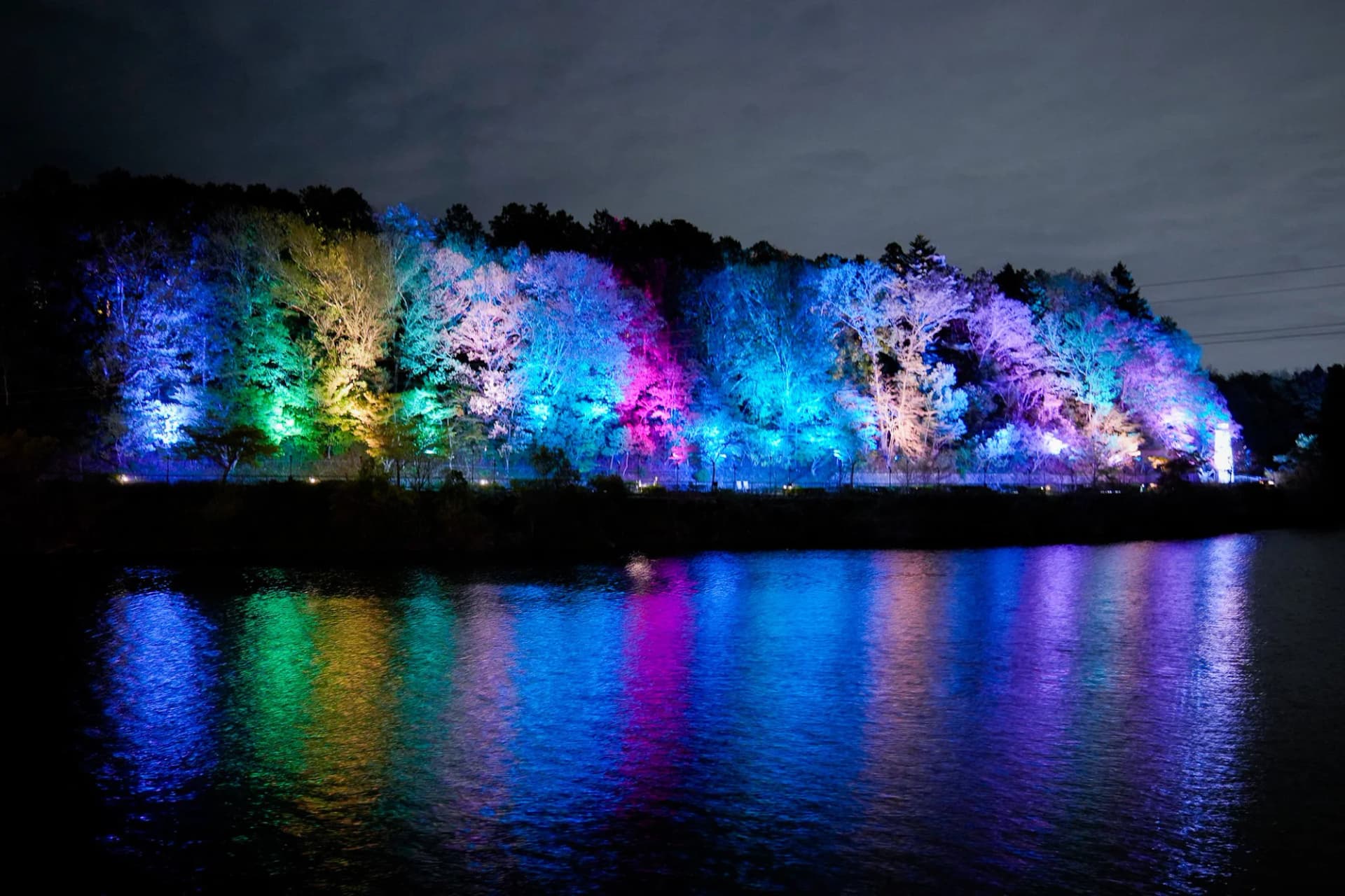 Light-up trees at the "Moomin Valley and Umbrella" Event, Moomin Valley Park