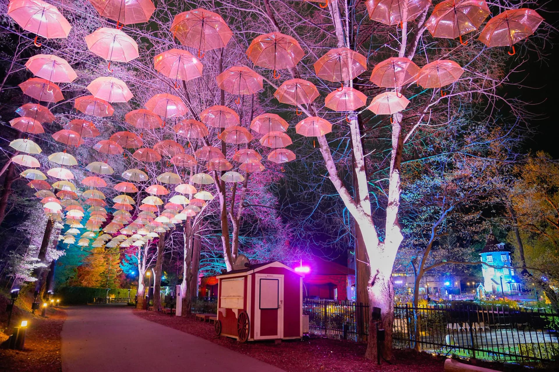 Moomin Valley and Umbrella" Event at night, Moomin Valley Park