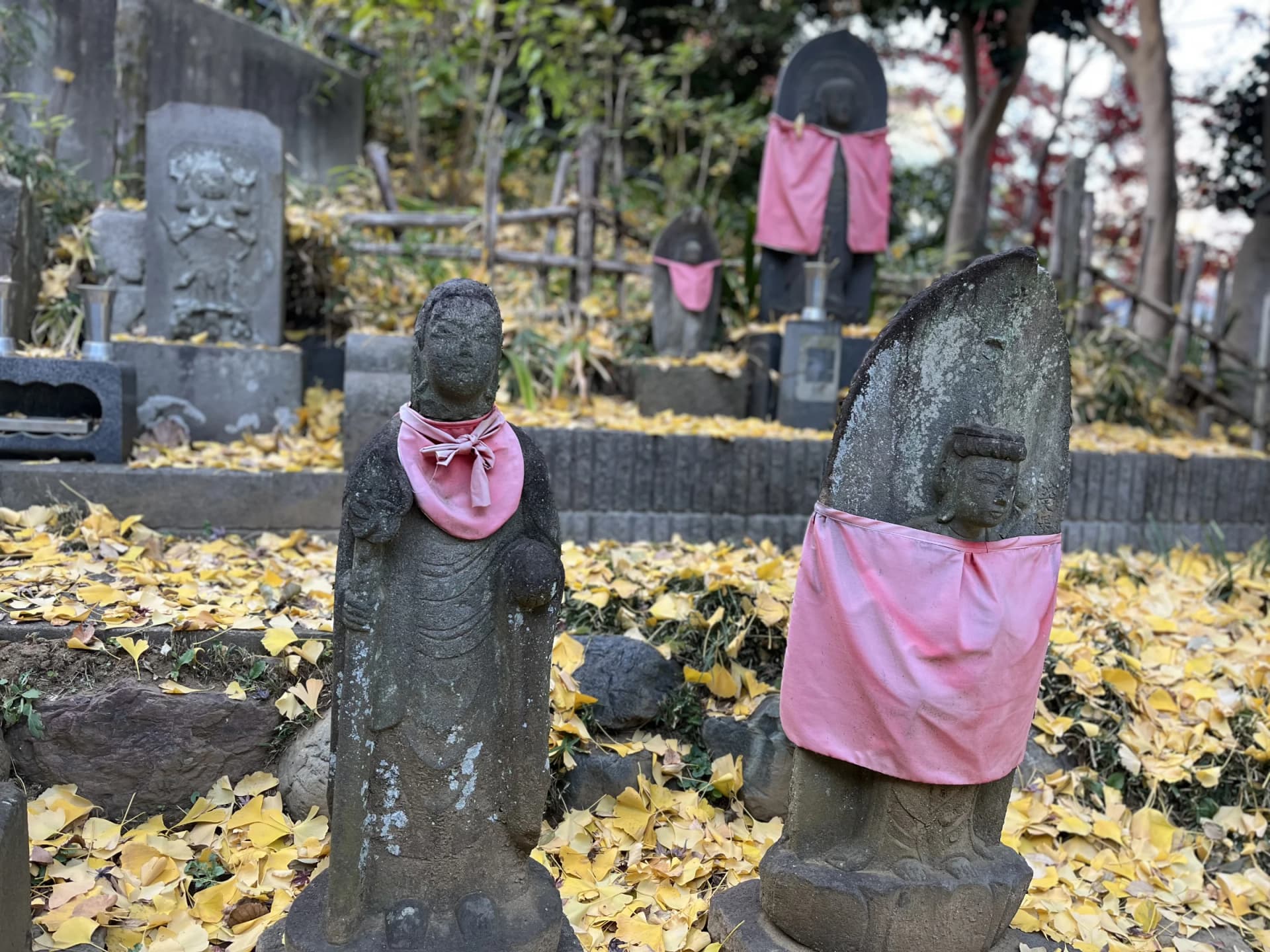 Myorakuji Temple – Stone Statues and Autumn Ginkgo Leaves, Kawasaki, Kanagawa