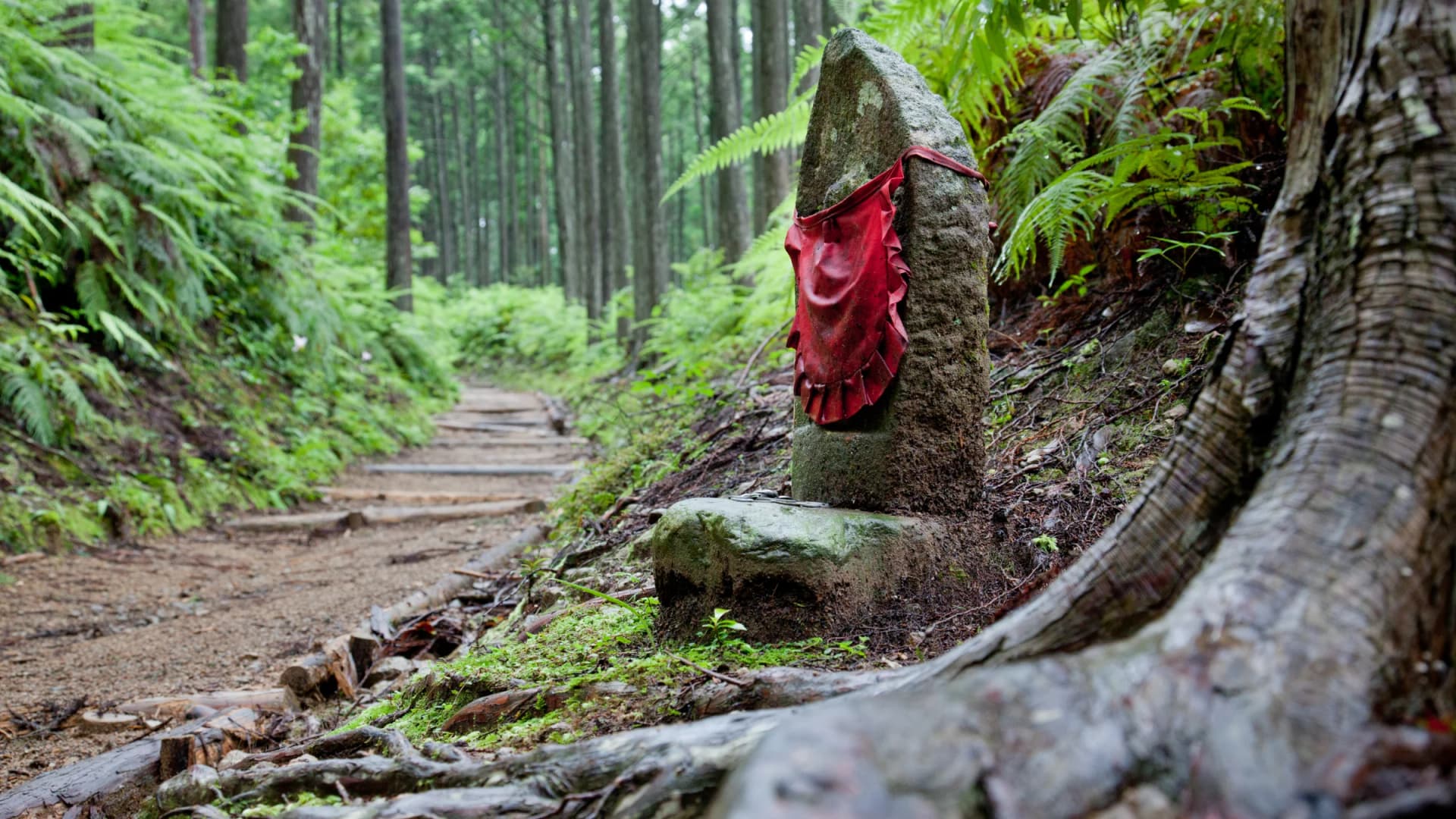 A red-bibbed stone Jizo marks the forest trail of the Kumano Kodo Nakahechi, Wakayama