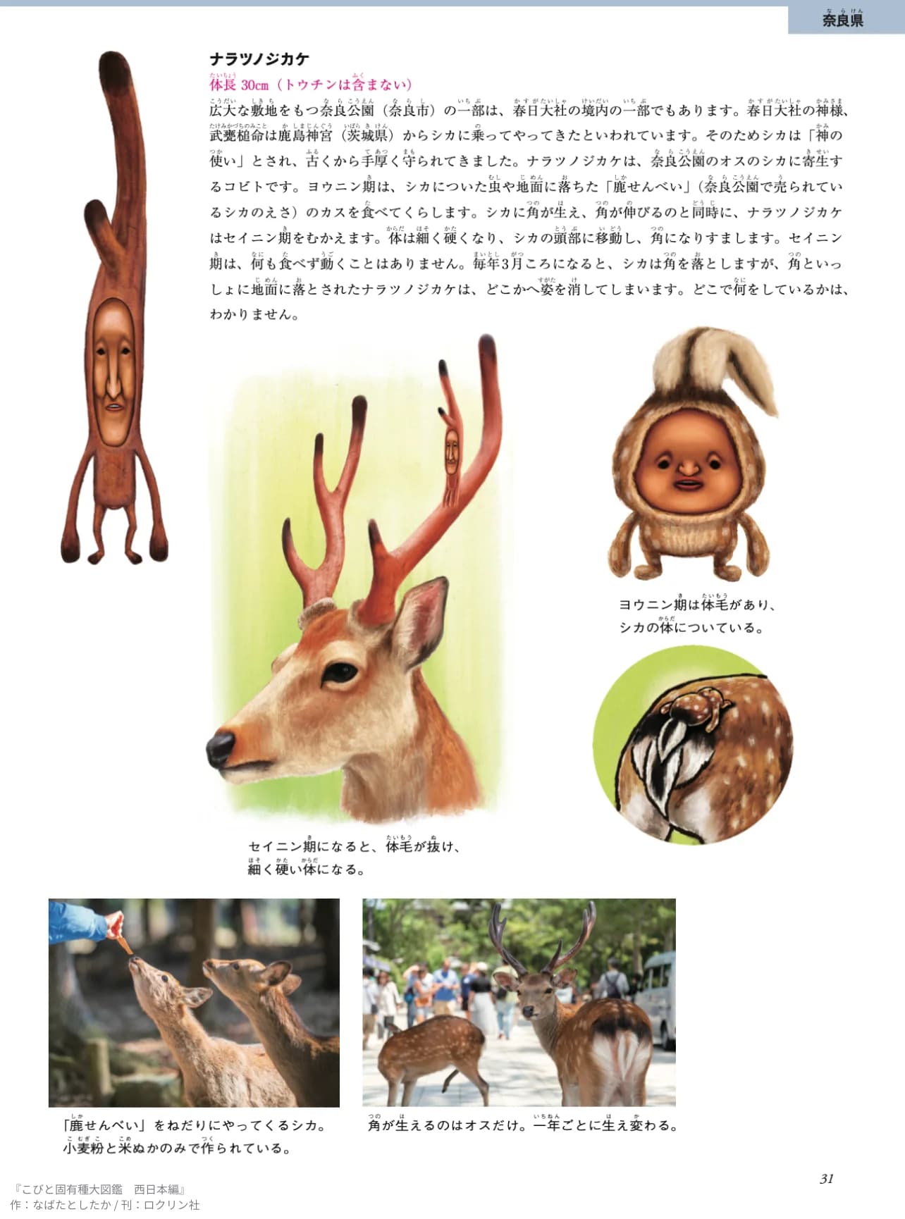 Nara Tsunojikake