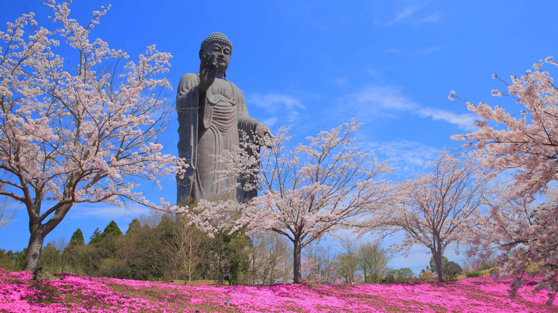 Ushiku Daibutsu, Ushiku, Ibaraki