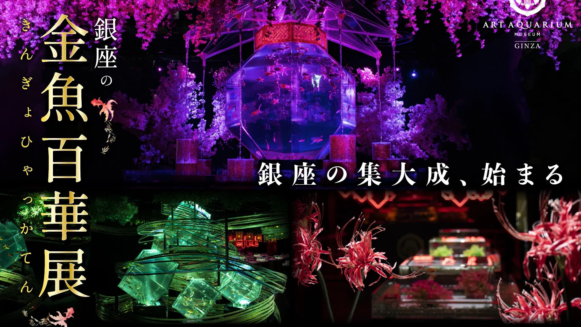 Key visual of the Ginza Goldfish Hyakka Exhibition, Art Aquarium Museum Ginza